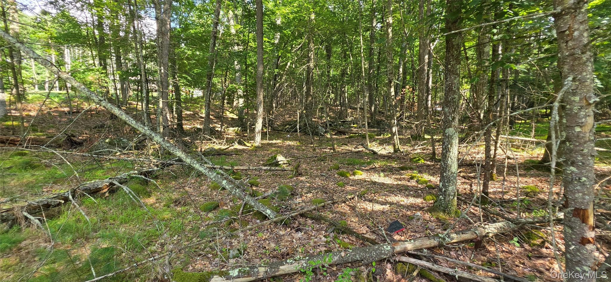 Lot 34.25 Lakeview Drive Road thumbnail 15