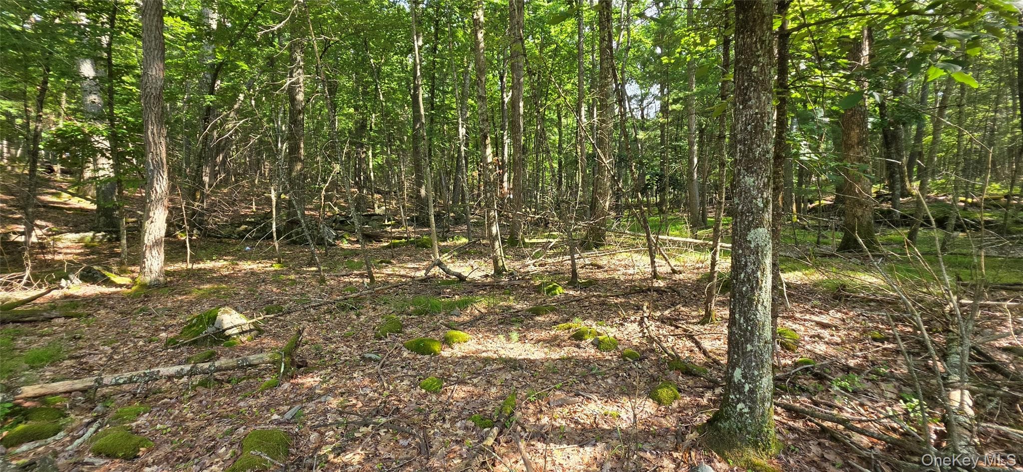 Lot 34.25 Lakeview Drive Road thumbnail 16