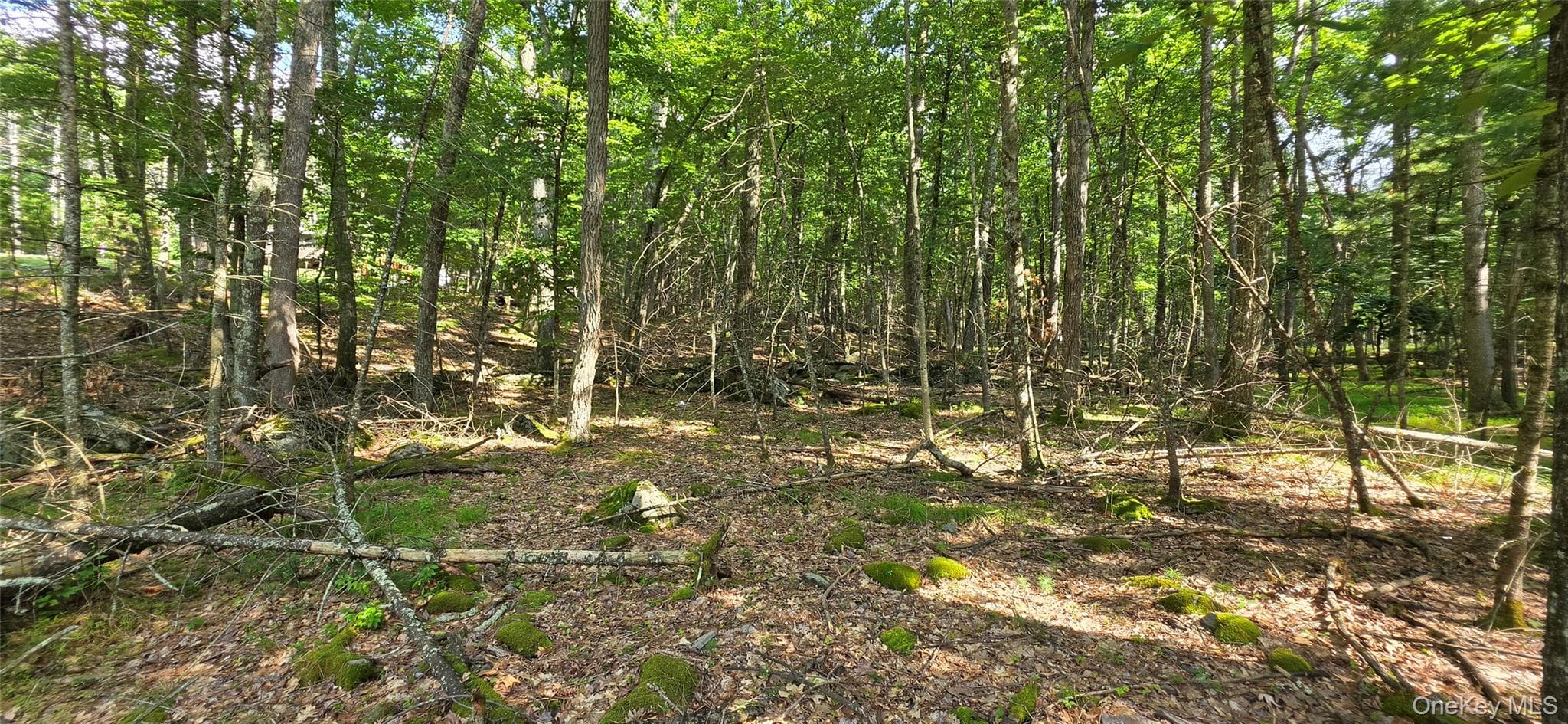 Lot 34.25 Lakeview Drive Road thumbnail 17
