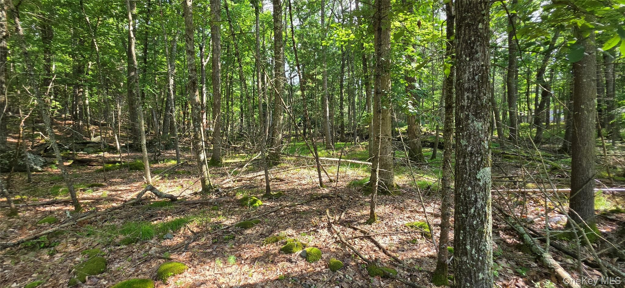 Lot 34.25 Lakeview Drive Road thumbnail 18