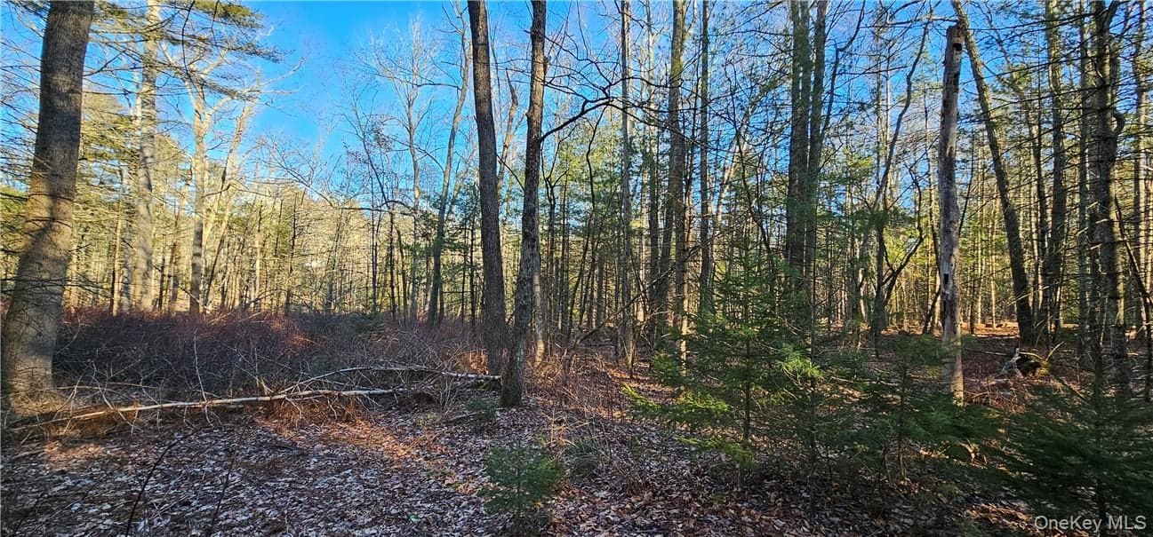 Lot 57.1 Yulan-barryville Road thumbnail 5