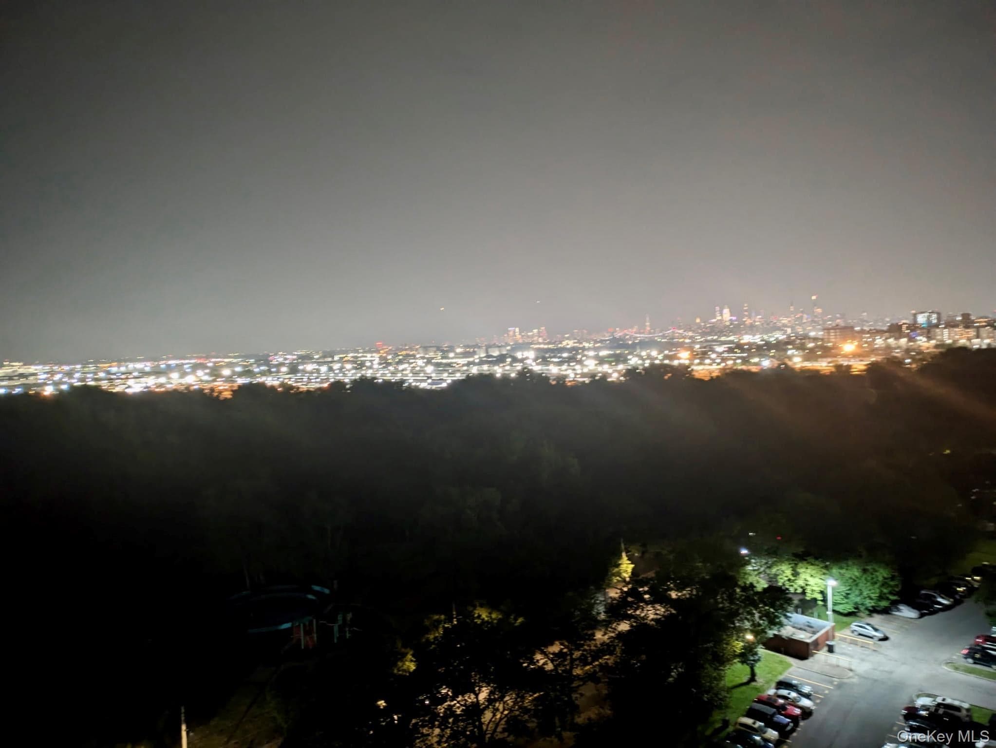 825 Morrison Avenue Unit: 16A thumbnail 31