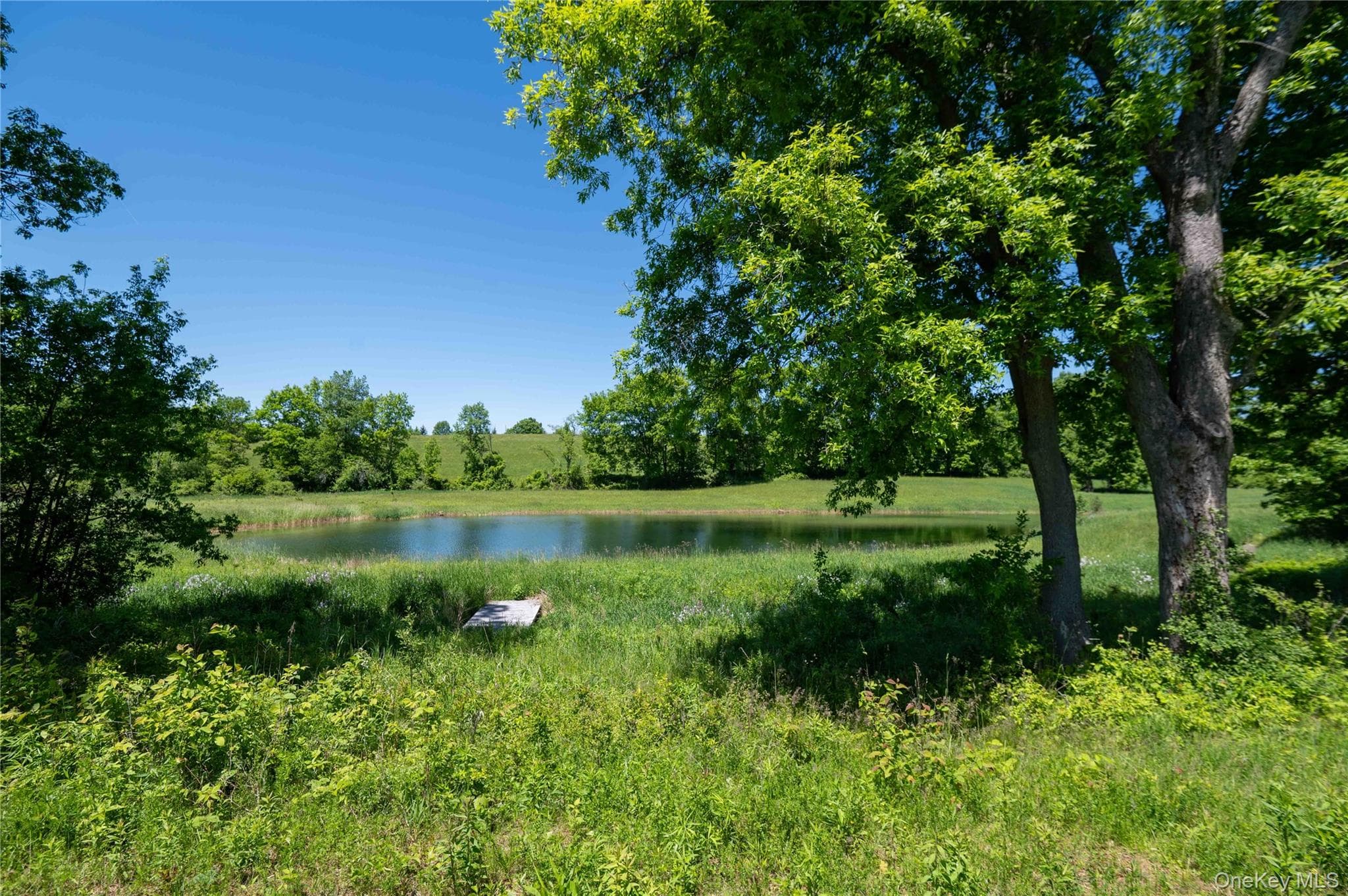 436 Schoolhouse Road Unit: 62 thumbnail 8