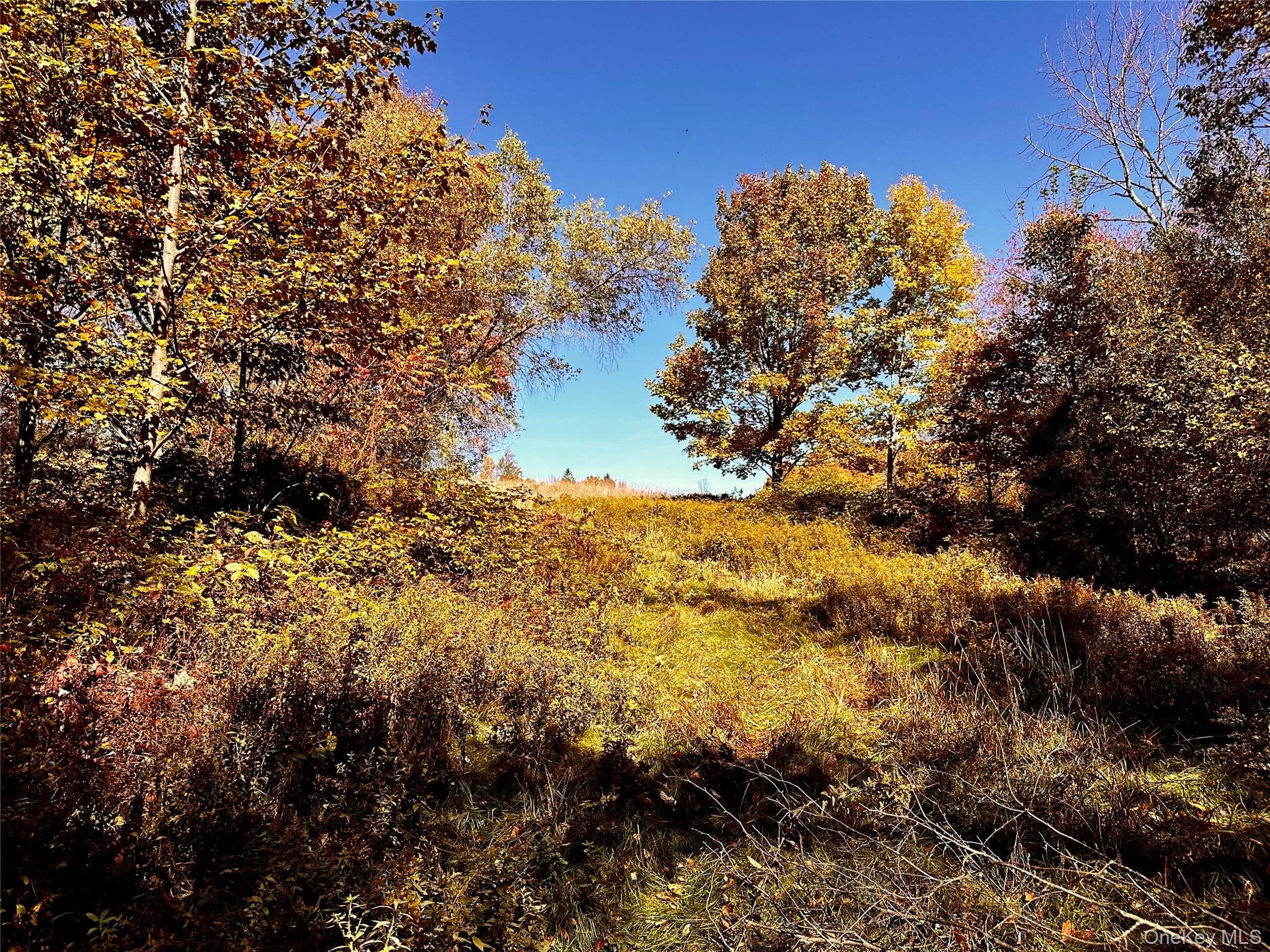 344 Midway Road thumbnail 11
