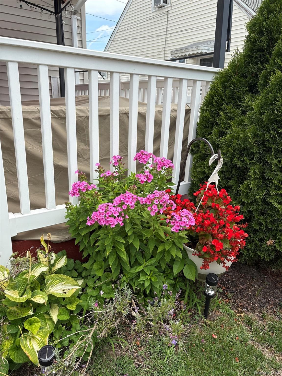 48 Teneyck Avenue thumbnail 33