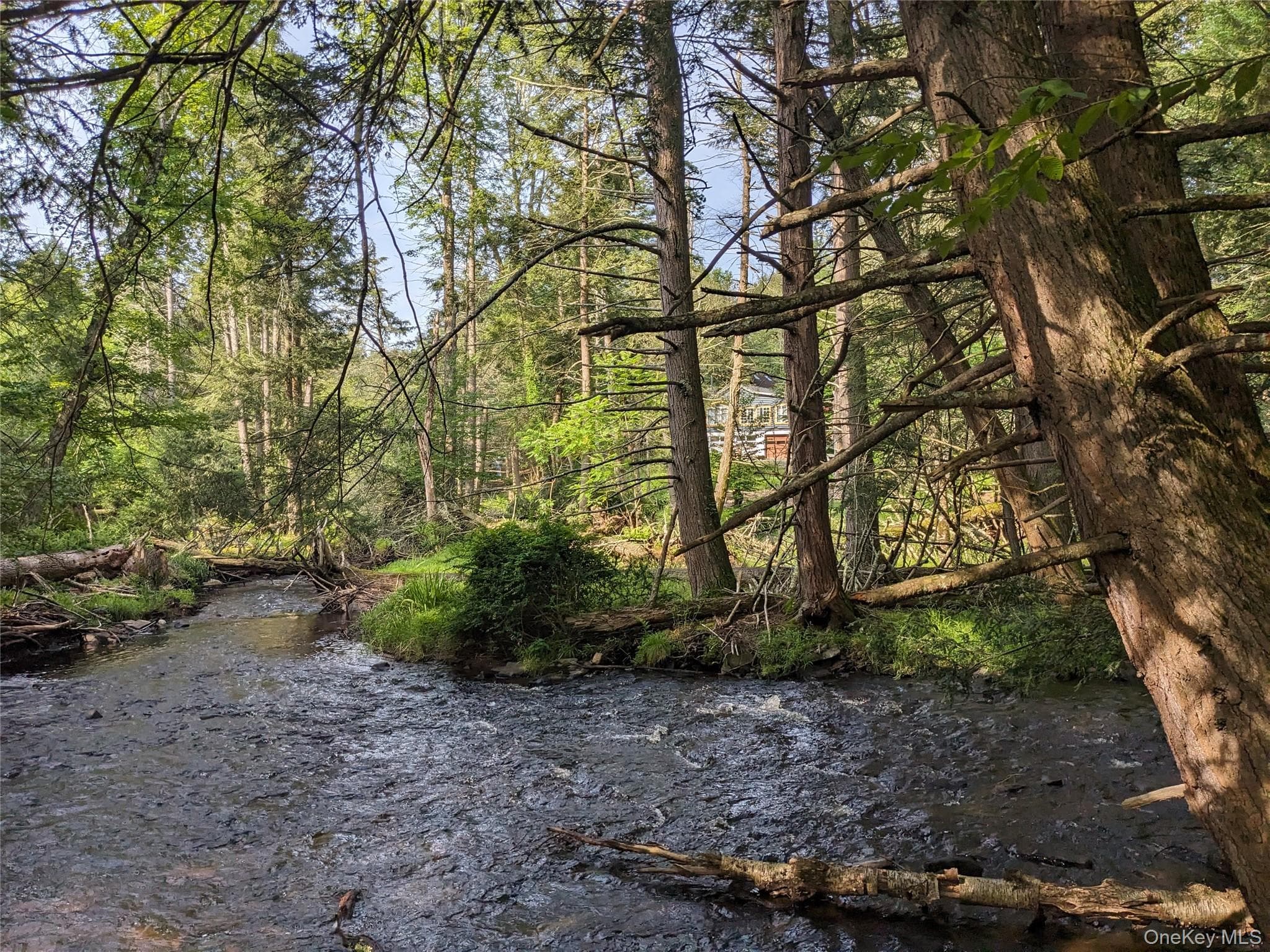 24 N Mohican Trail thumbnail 7