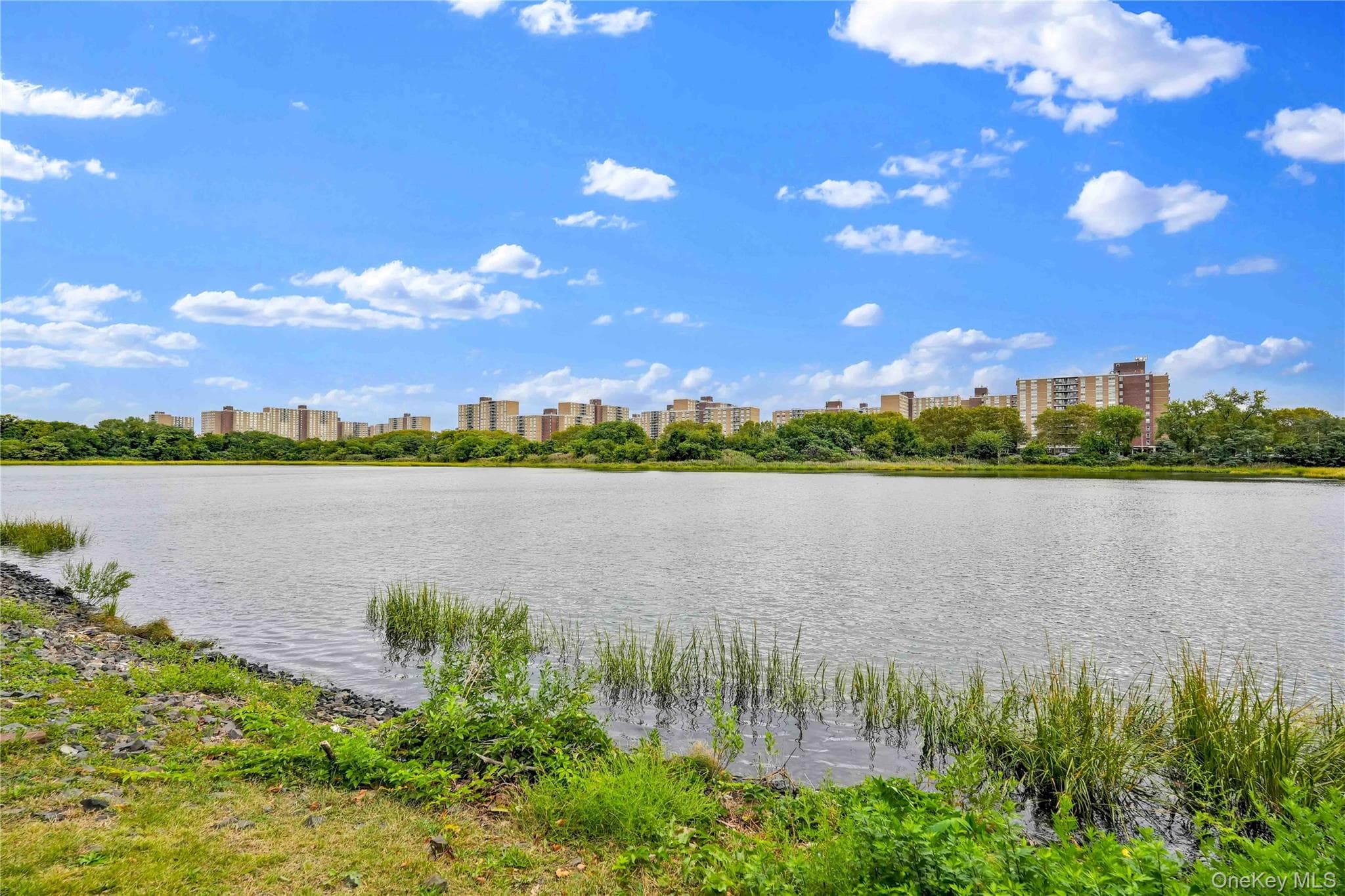 10810 Flatlands 9th Street Unit: 15E thumbnail 27
