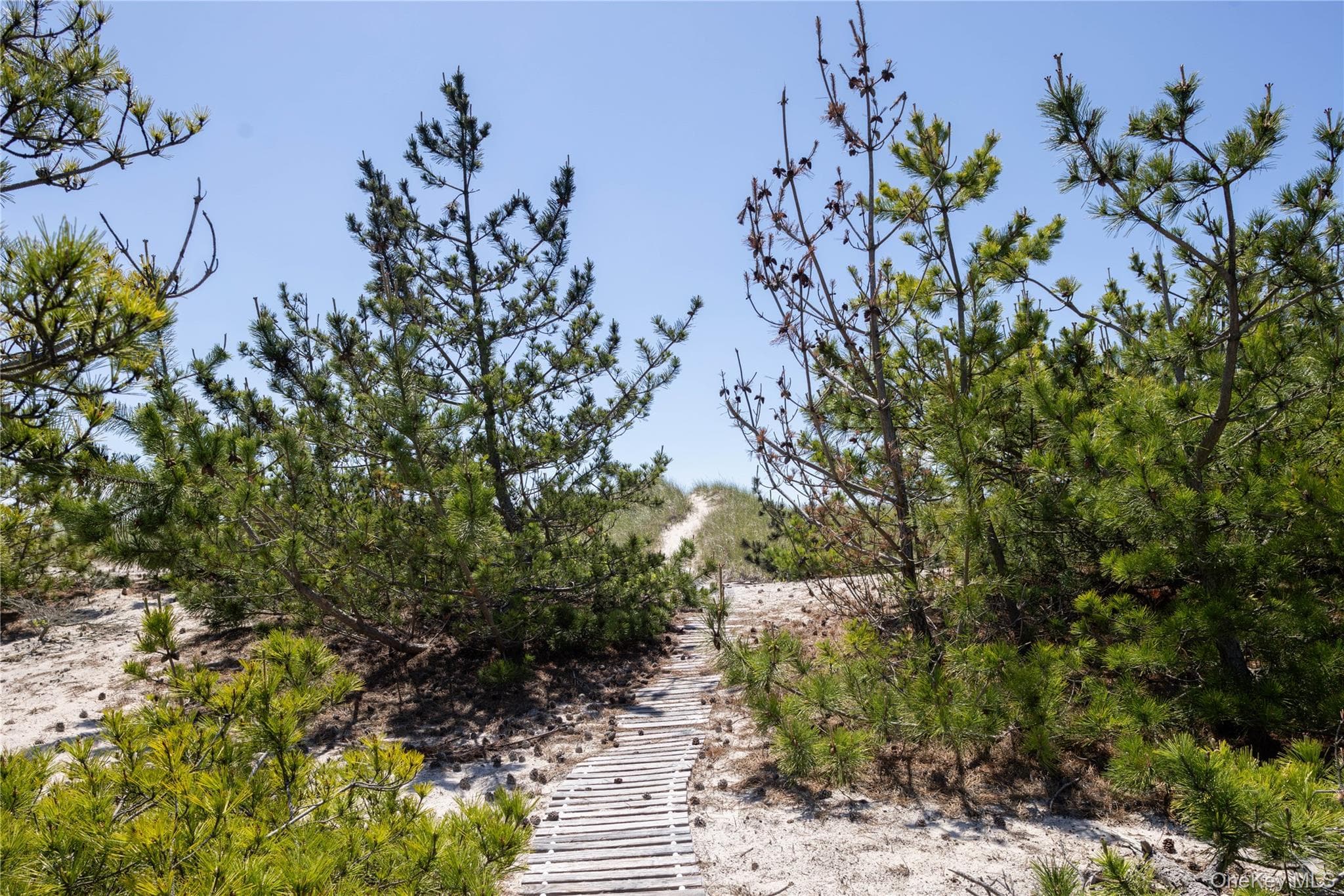 398 Dune Road thumbnail 5