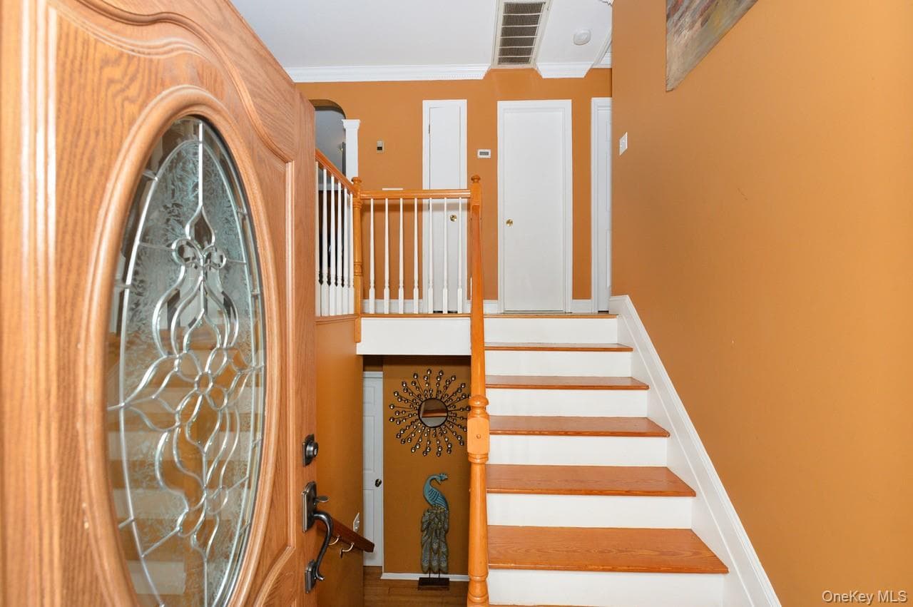 19 Dowd Street thumbnail 3
