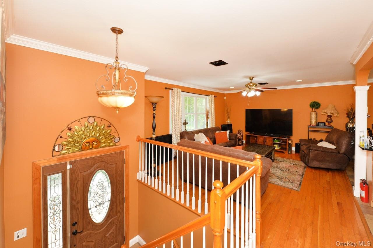 19 Dowd Street thumbnail 5