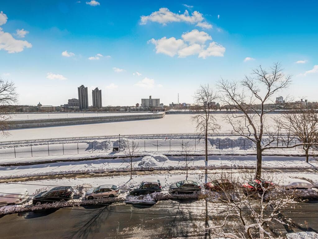 3363 Sedgwick Avenue Unit: 4L thumbnail 10