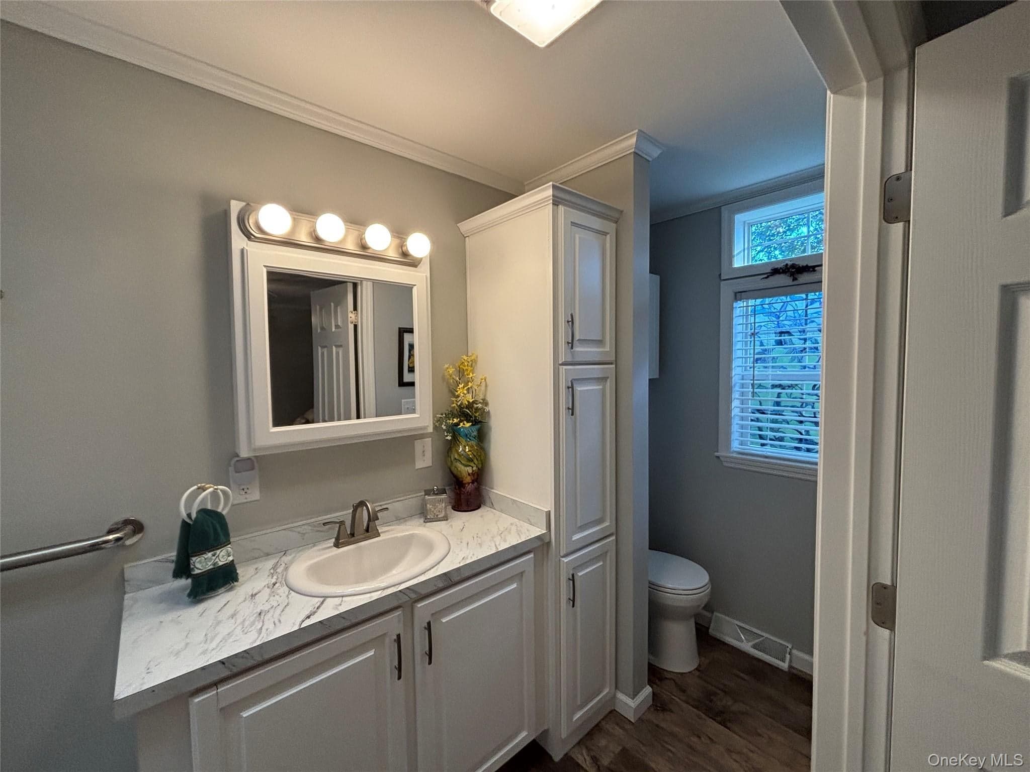 1661 Old Country Road Unit: 72 thumbnail 23