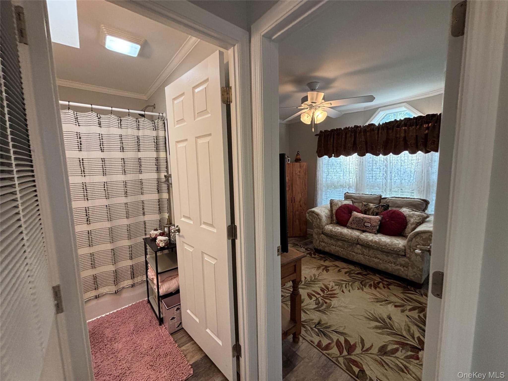 1661 Old Country Road Unit: 72 thumbnail 30