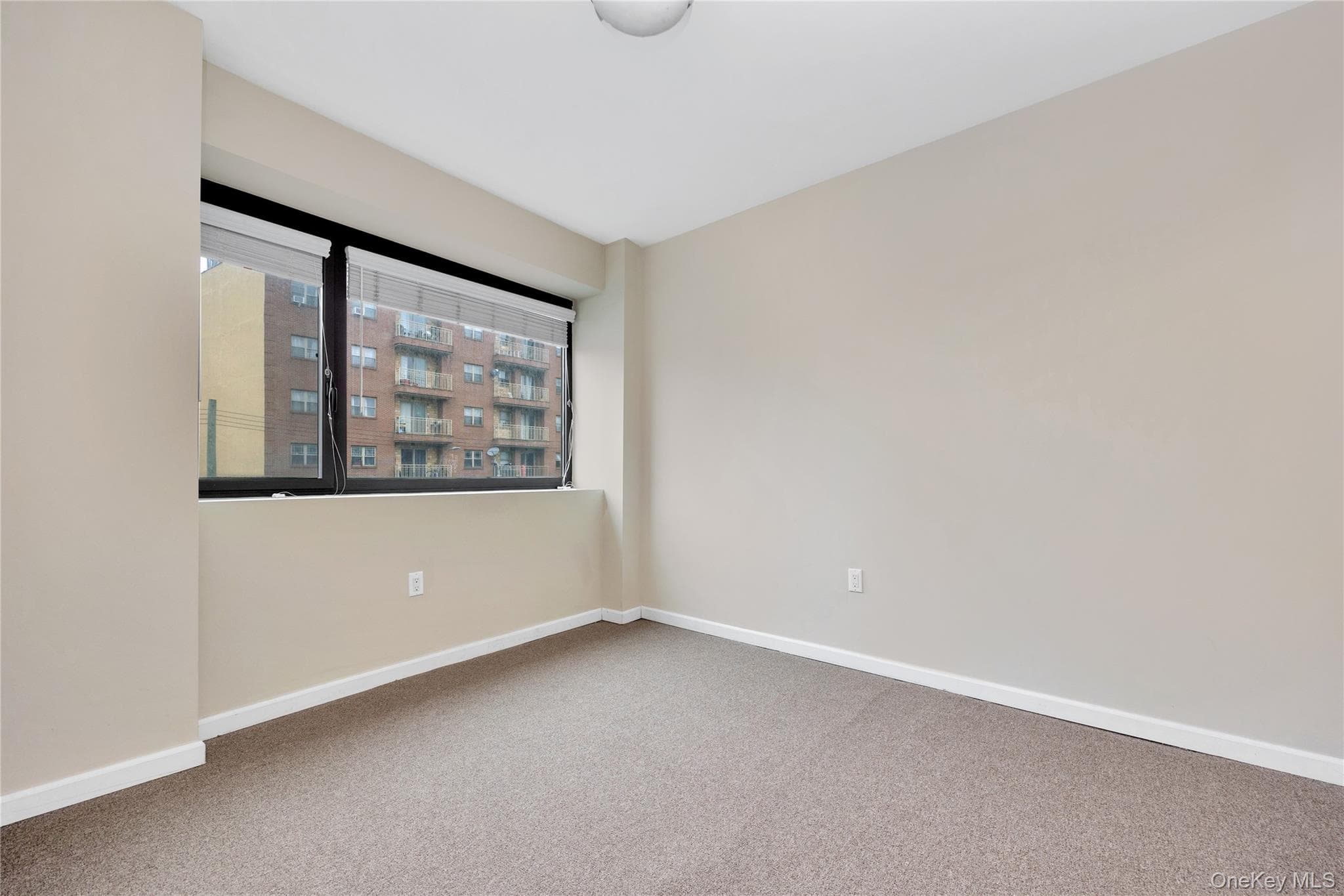 172-18 Jamaica Avenue thumbnail 12