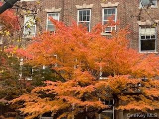 78-11 35 Avenue Unit: 5H thumbnail 11