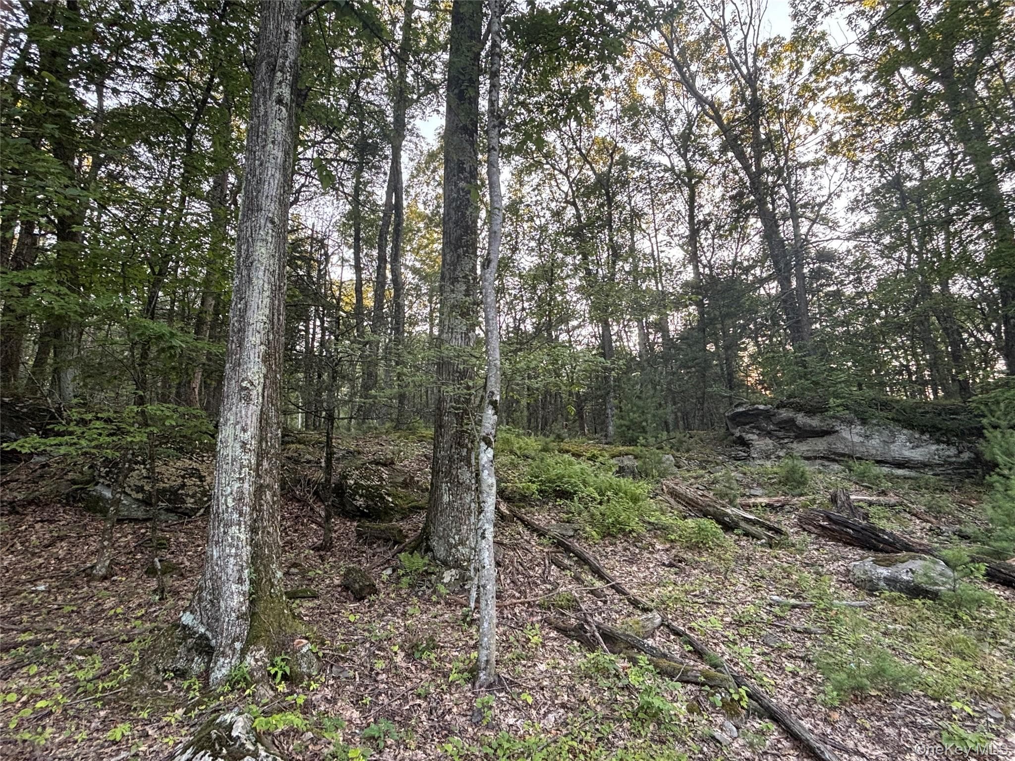 High Point Mountain Road thumbnail 9