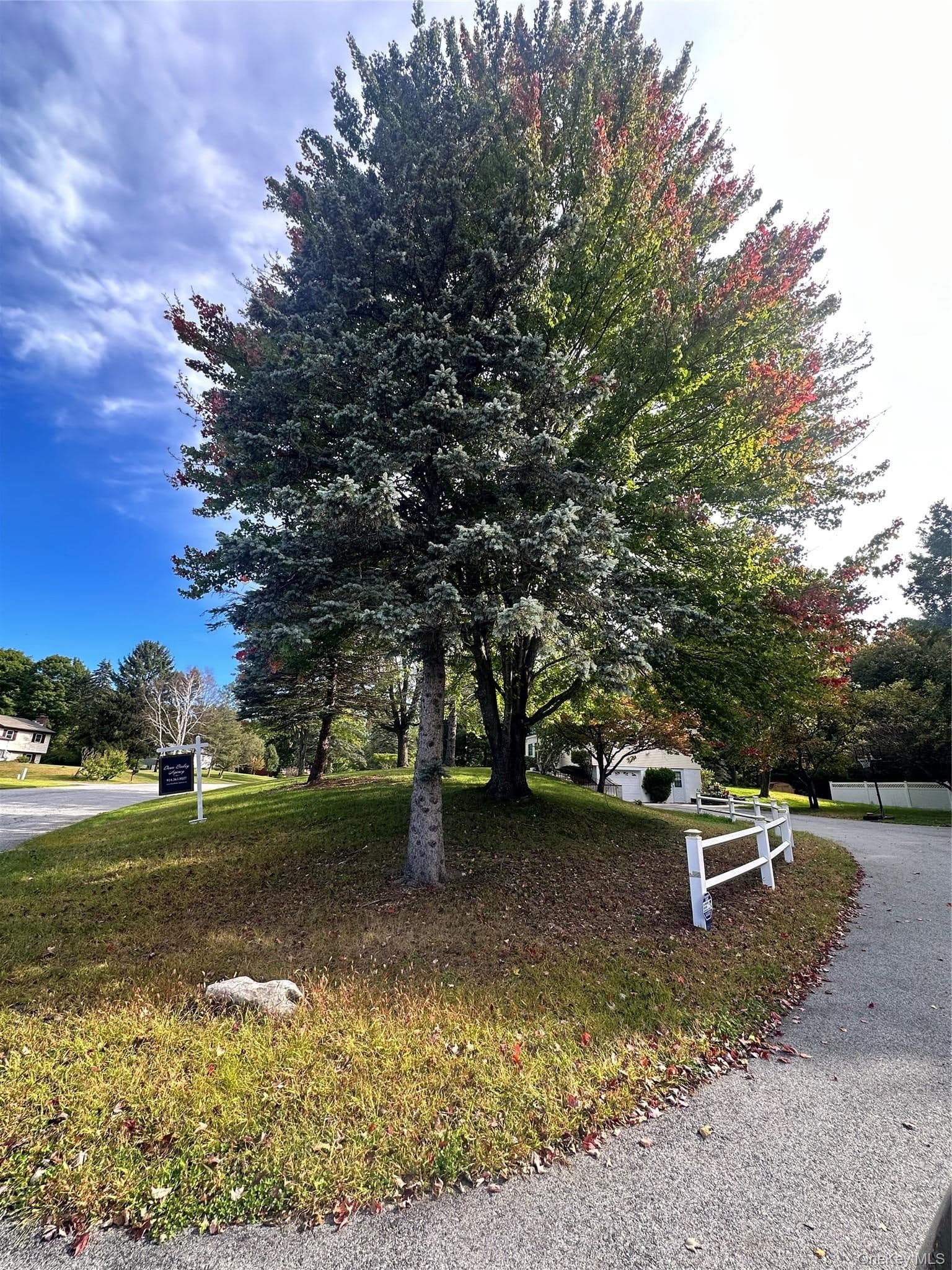 9 Elizabeth Drive thumbnail 30