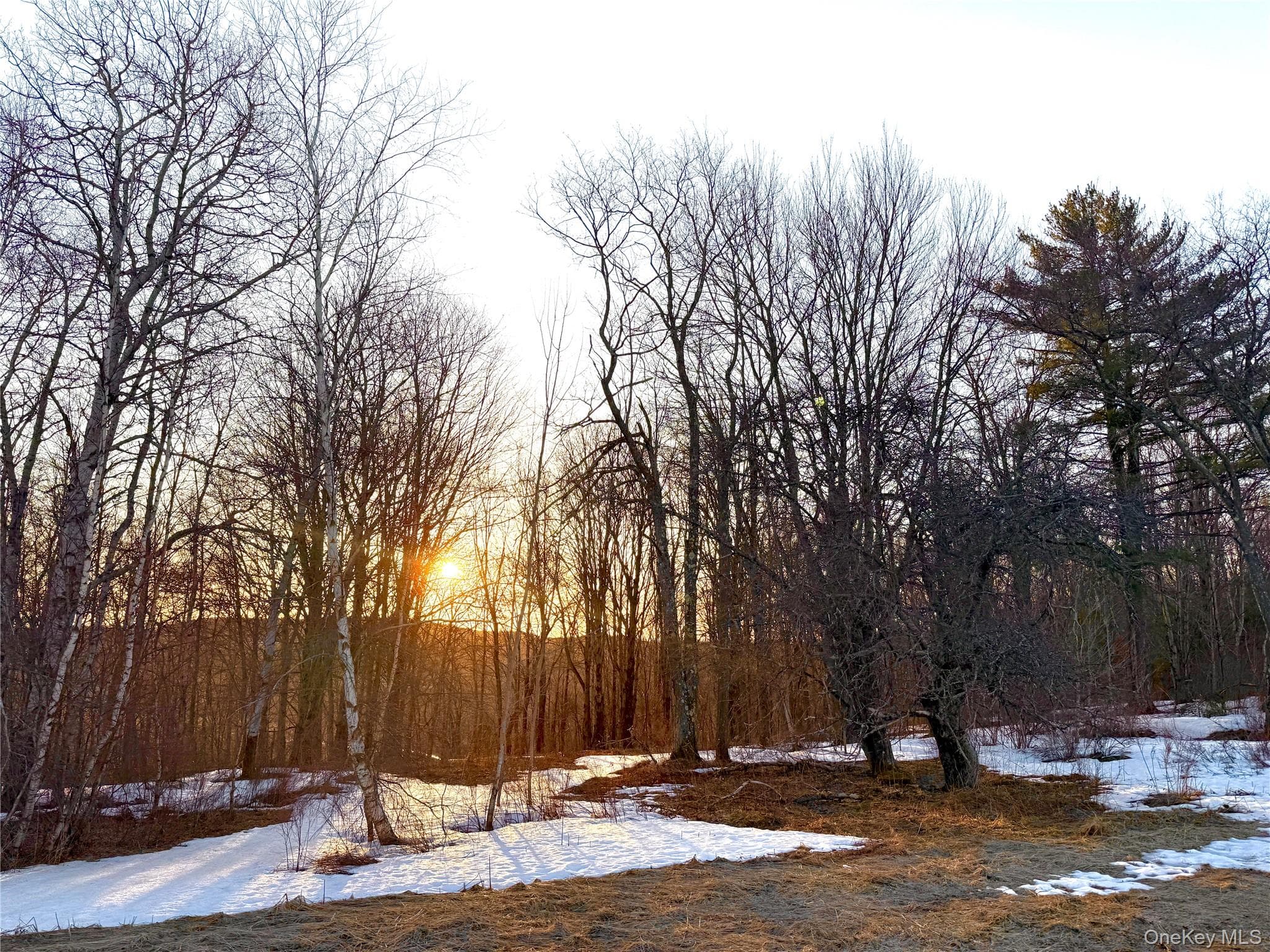 2182 Snake Hill Road thumbnail 8