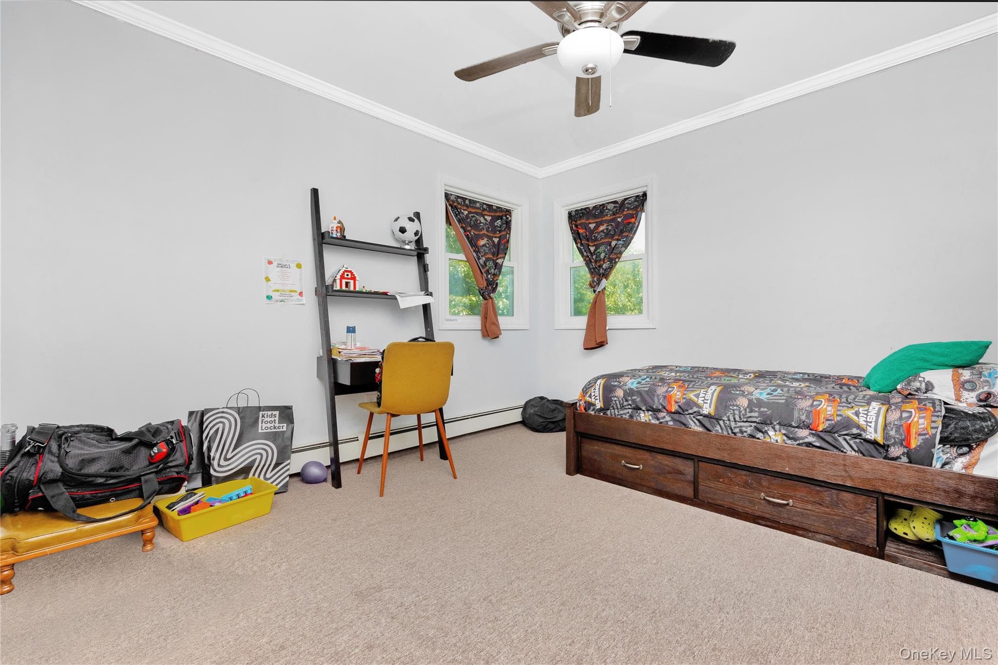 483 Merrick Road thumbnail 19