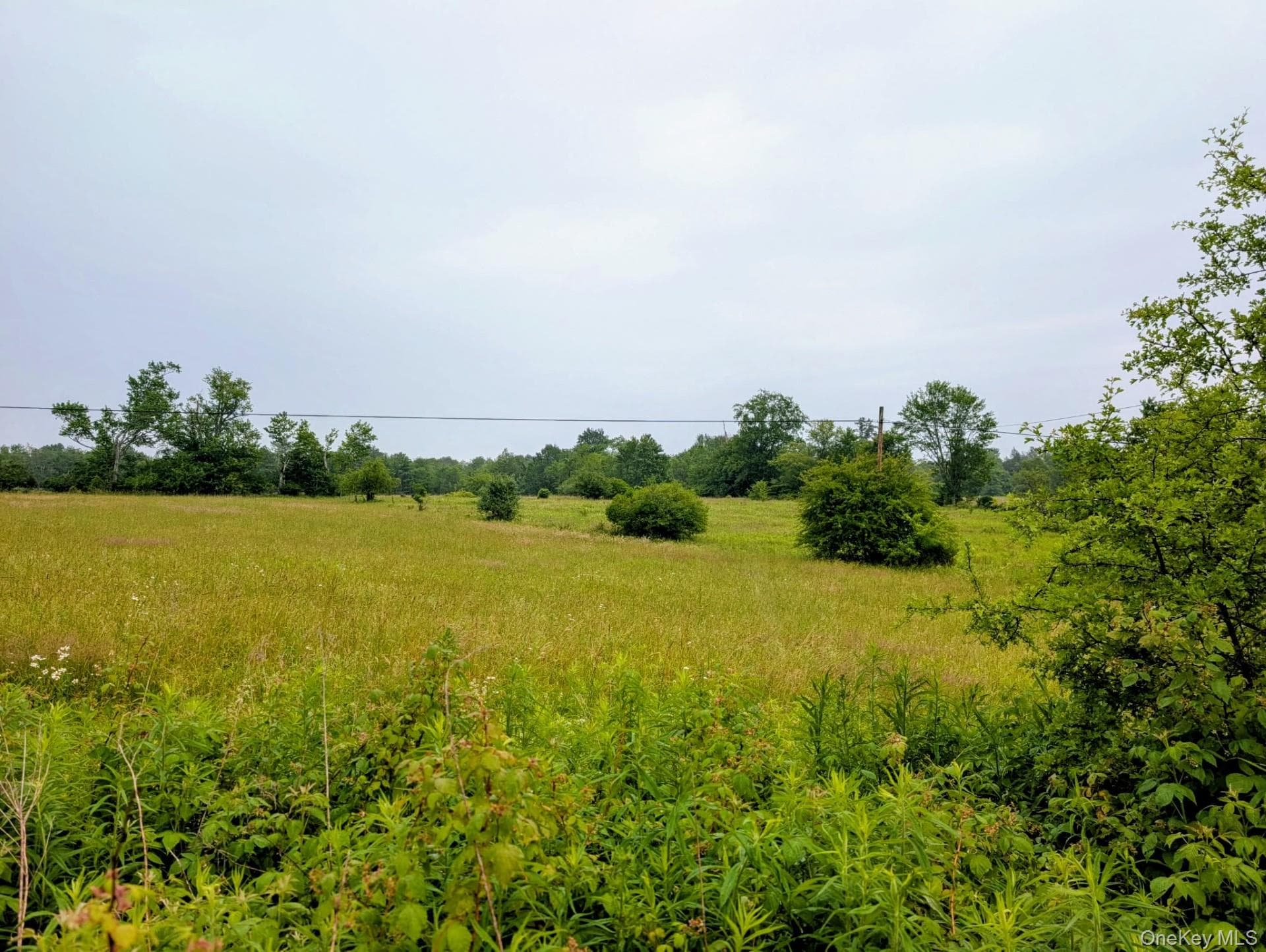 196 Gabriel Road thumbnail 4