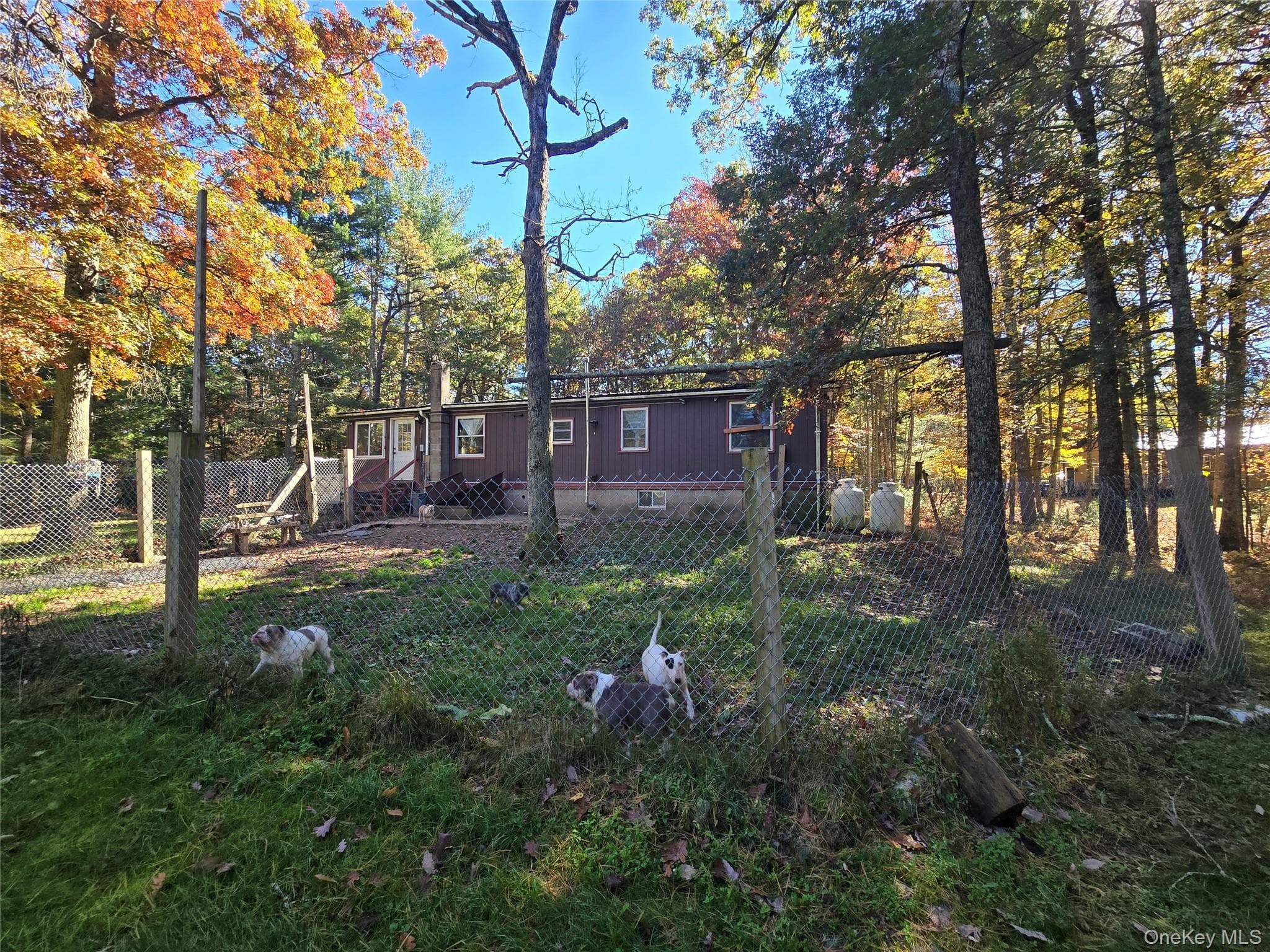 24 Frazier Road thumbnail 6