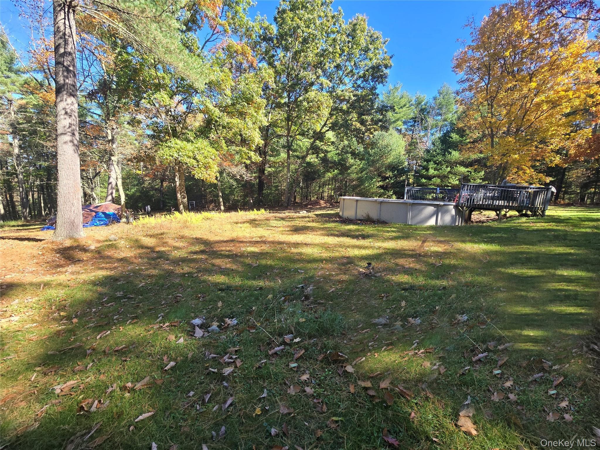 24 Frazier Road thumbnail 9