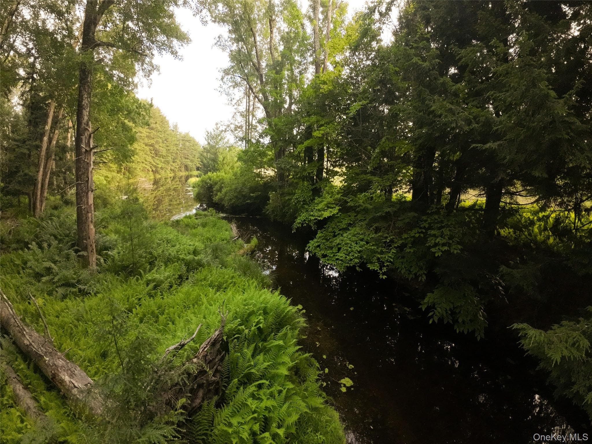 49 Crumley Van Vactor Road thumbnail 11
