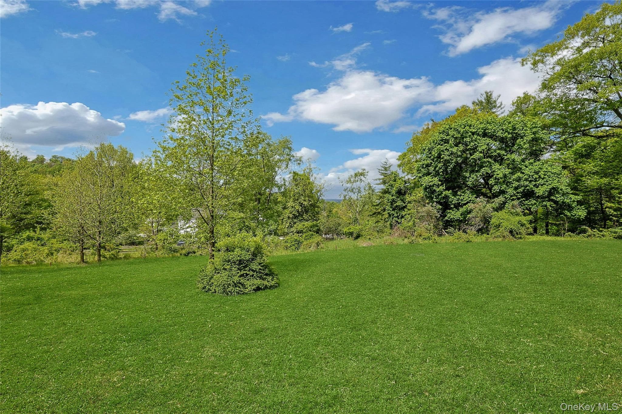 982 Bradley Parkway thumbnail 37