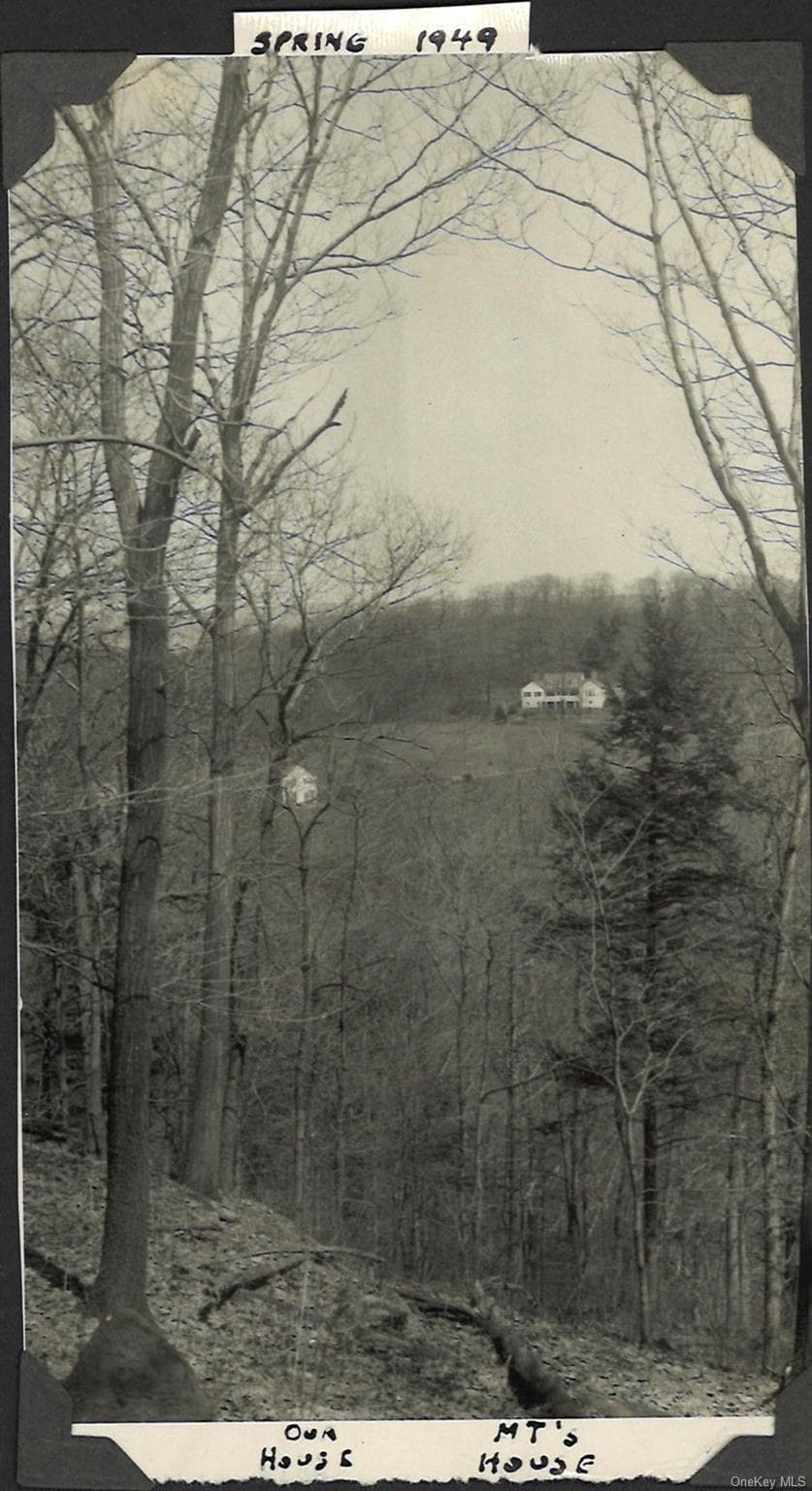 982 Bradley Parkway thumbnail 50