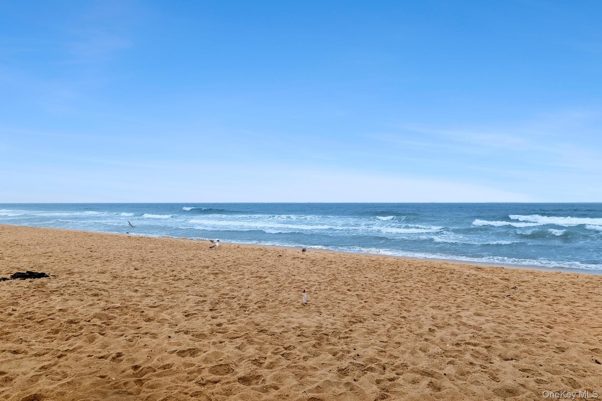 126 S Emerson Avenue Unit: 88 thumbnail 21