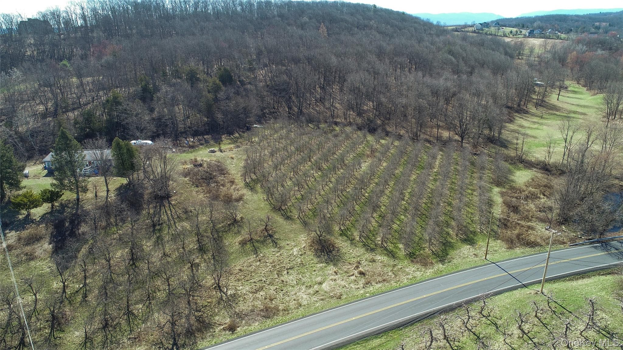 223 Plattekill Road thumbnail 37