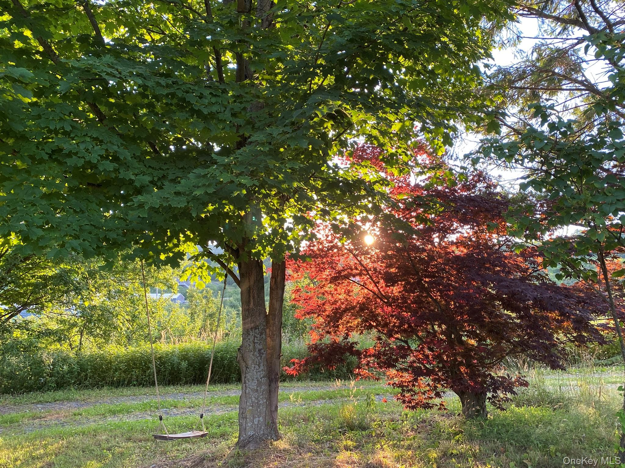 223 Plattekill Road thumbnail 28