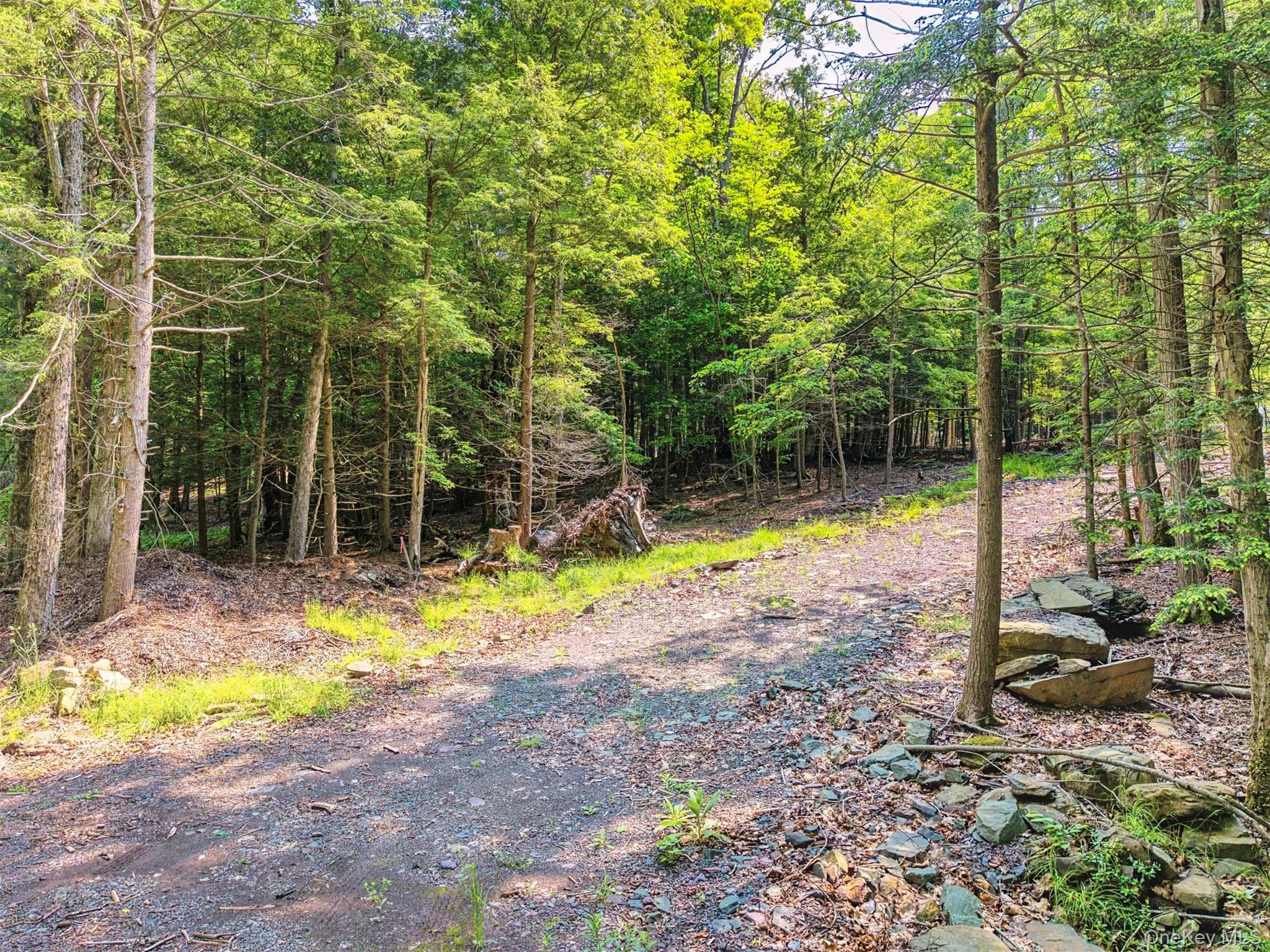 TBD Boulder Brook Lot B14 Road thumbnail 27