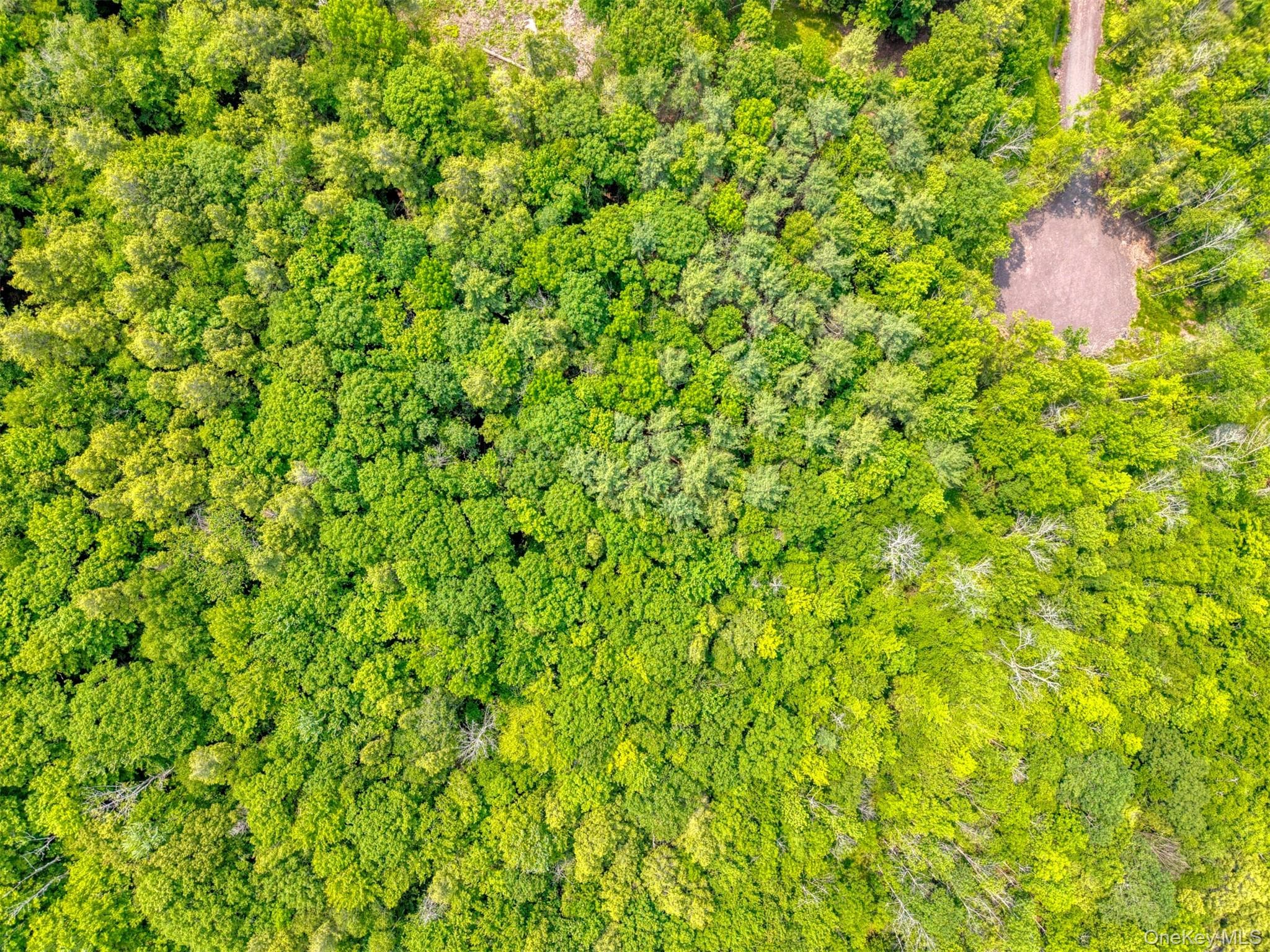 TBD Boulder Brook Lot B14 Road thumbnail 35