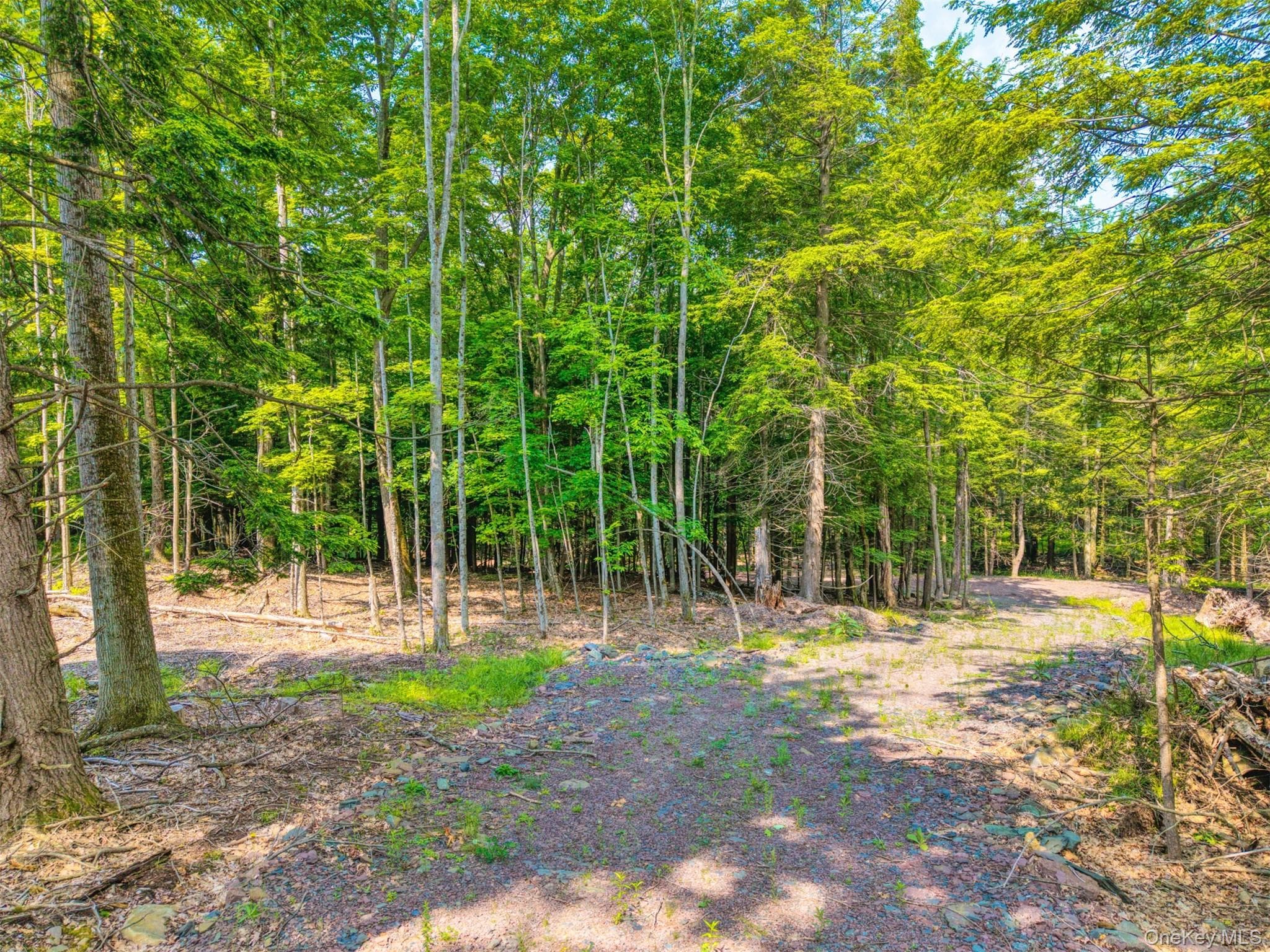 TBD Boulder Brook Lot B14 Road thumbnail 31