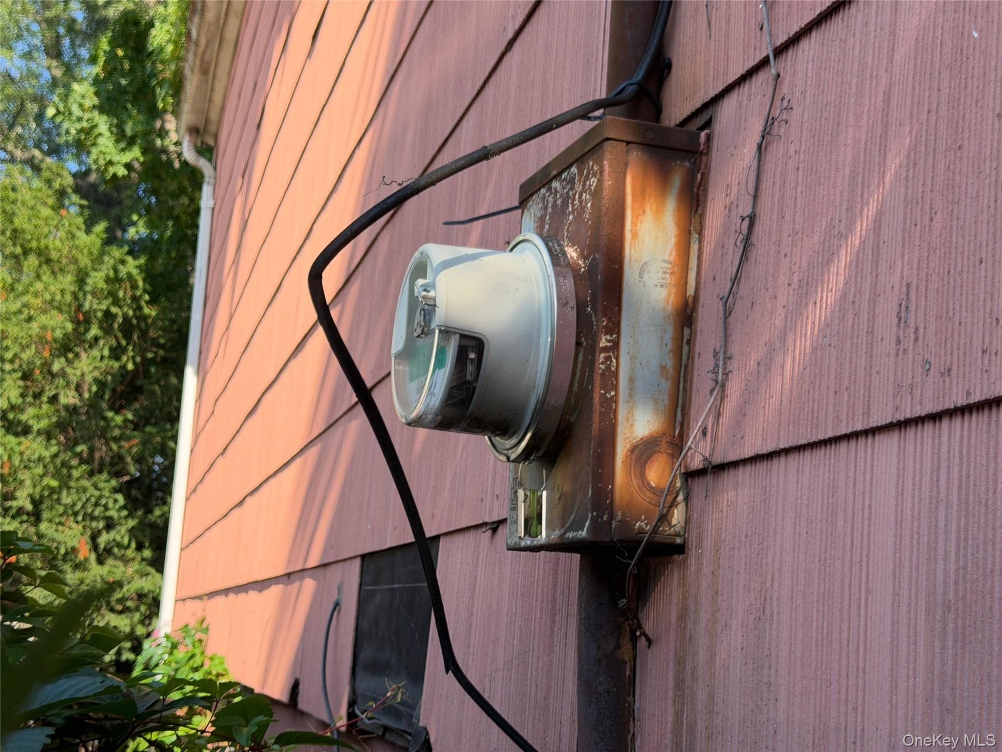827 Pine Street thumbnail 16