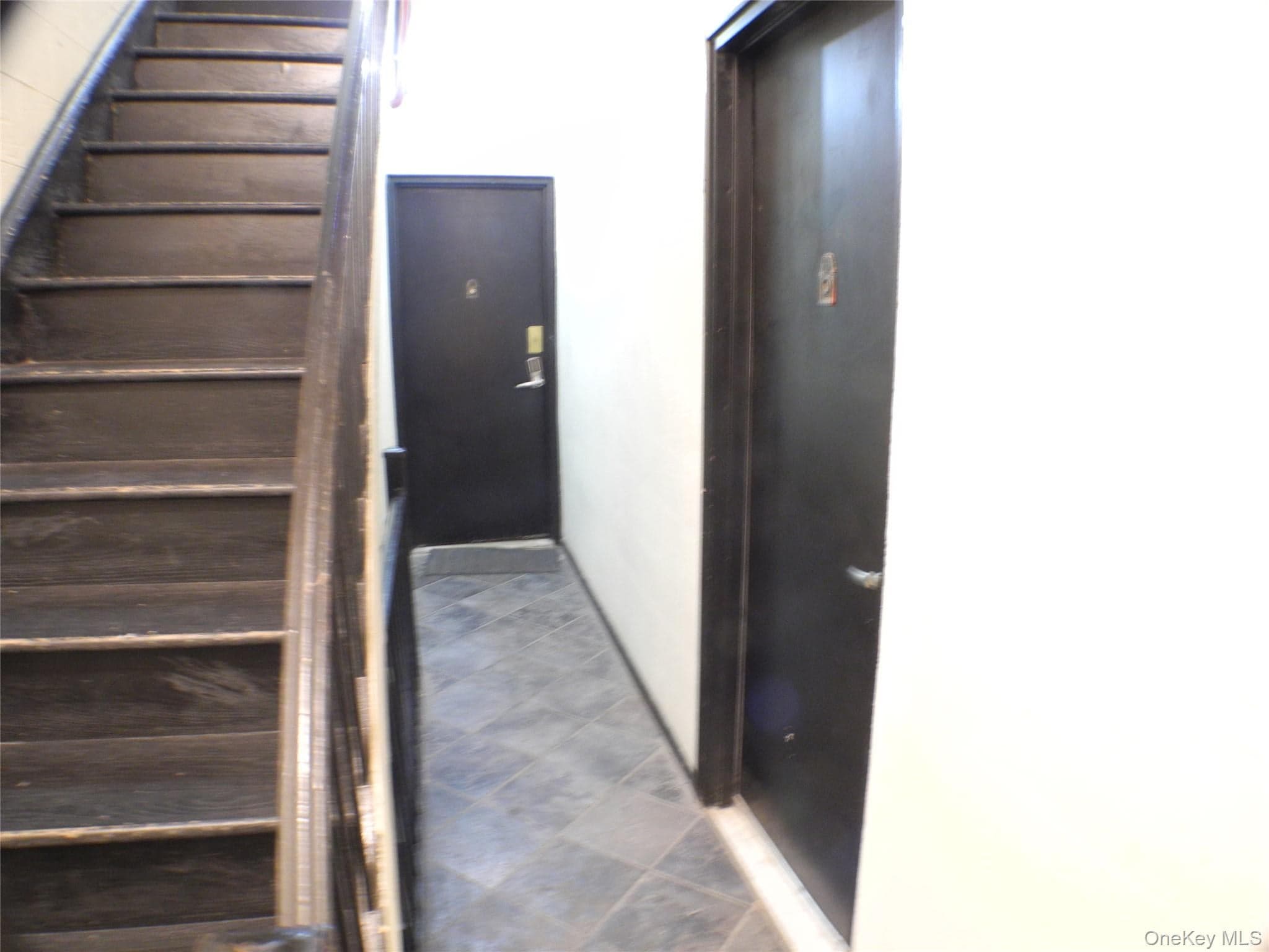 252 E 33 Street thumbnail 5