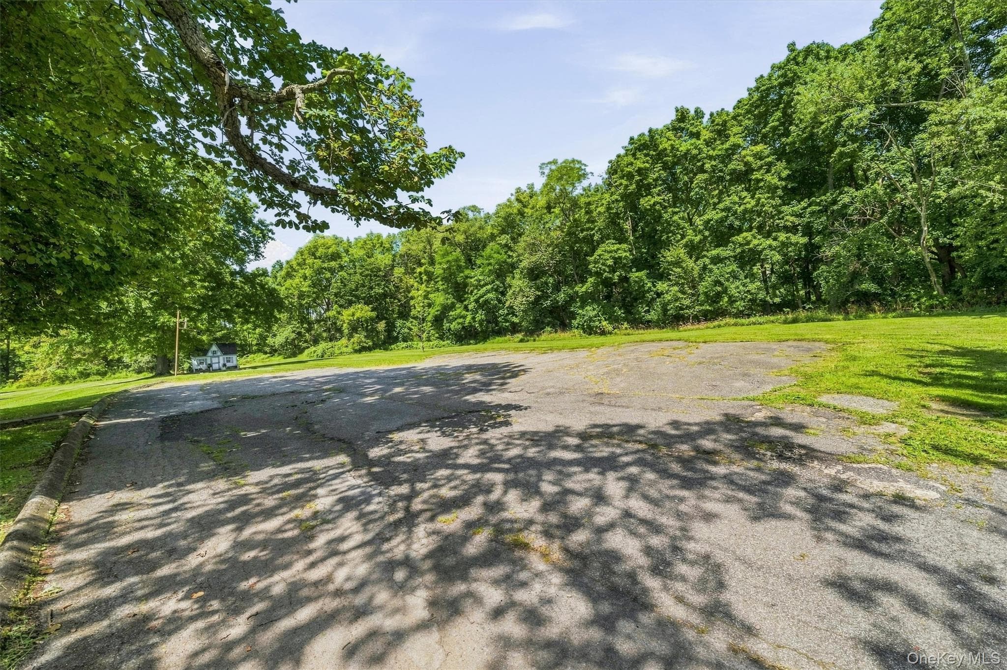 2430 State Route 207 thumbnail 45