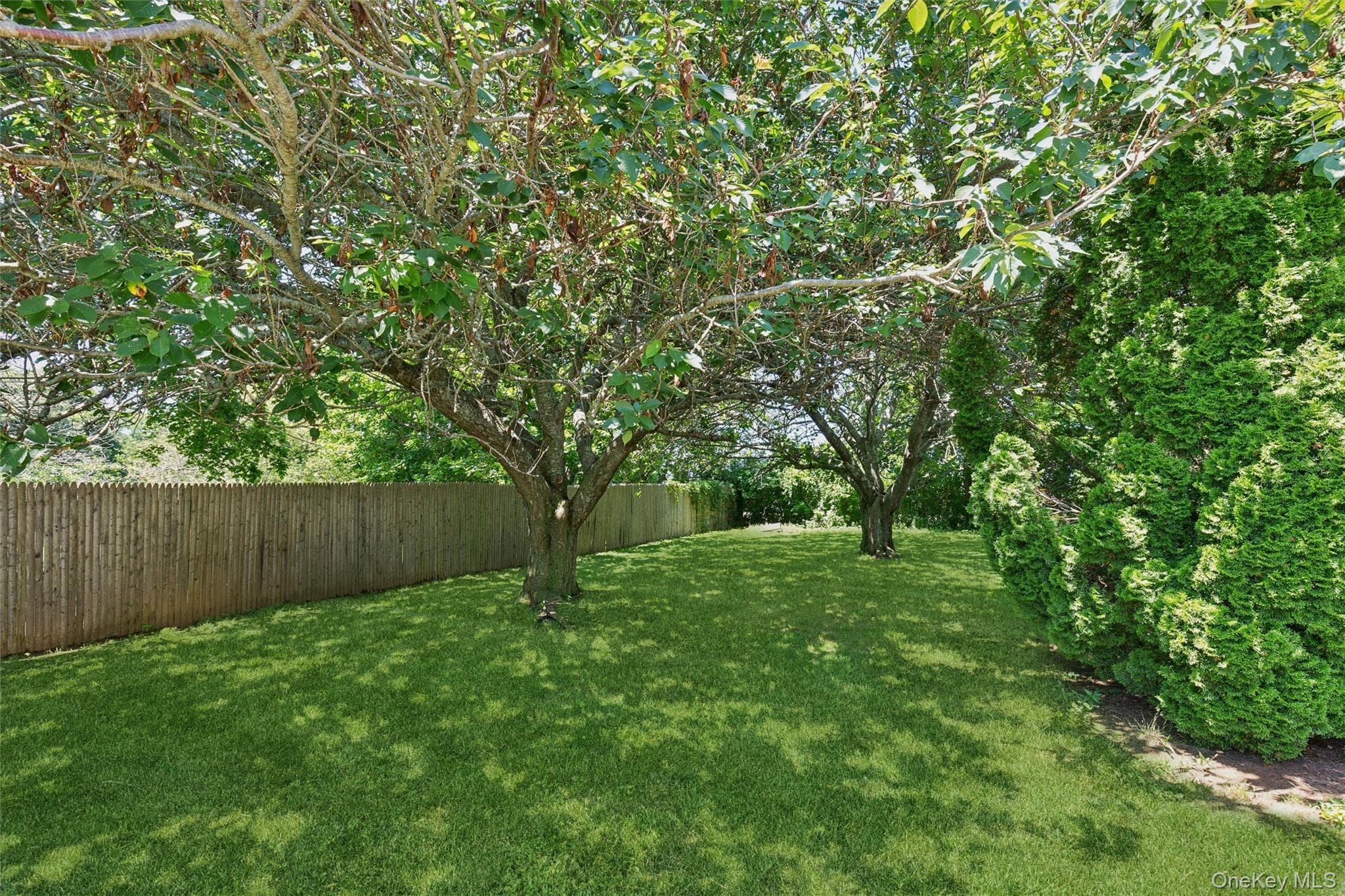 6205 Alvahs Lane thumbnail 19
