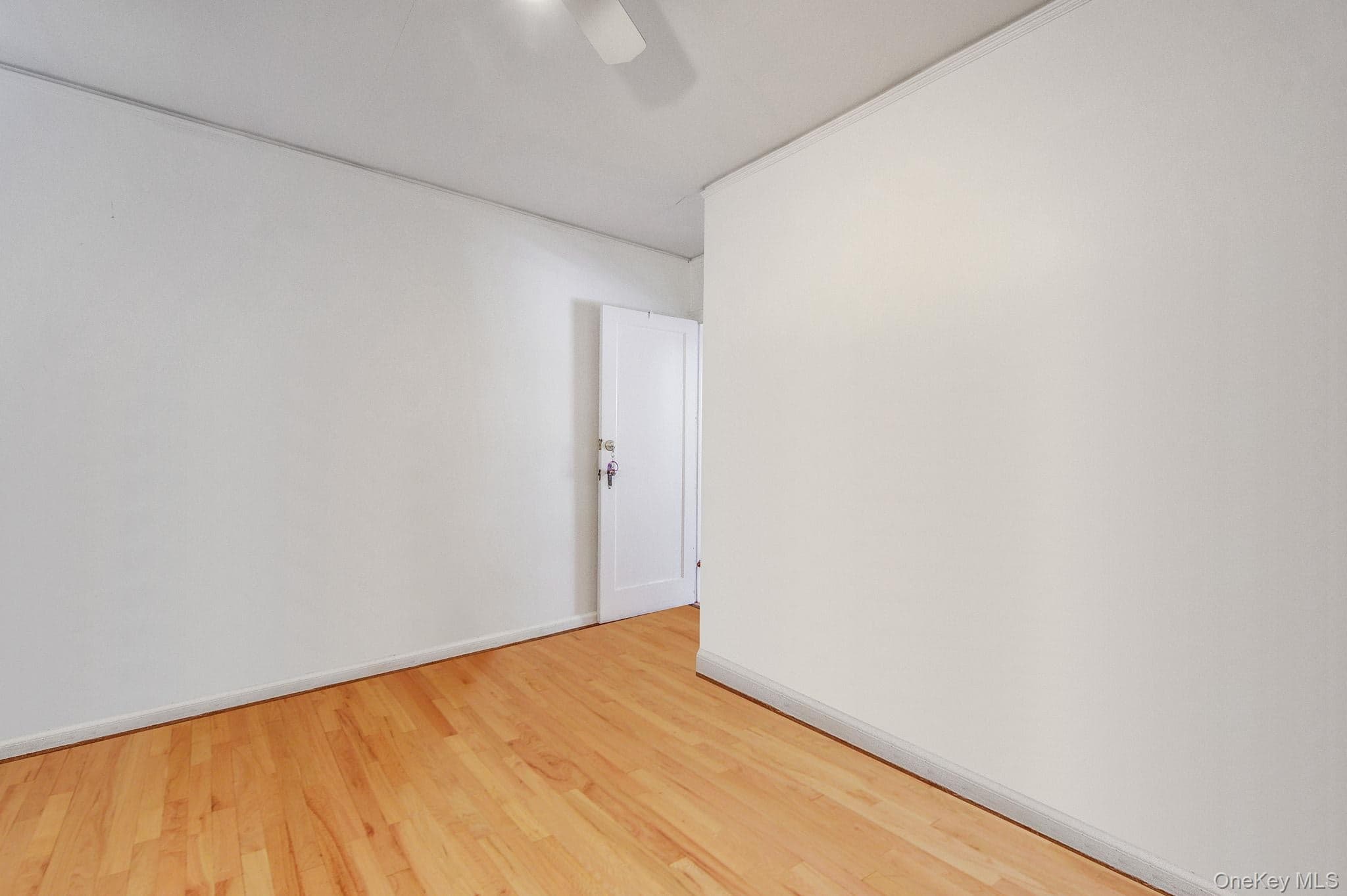 115-82 237th Street thumbnail 12