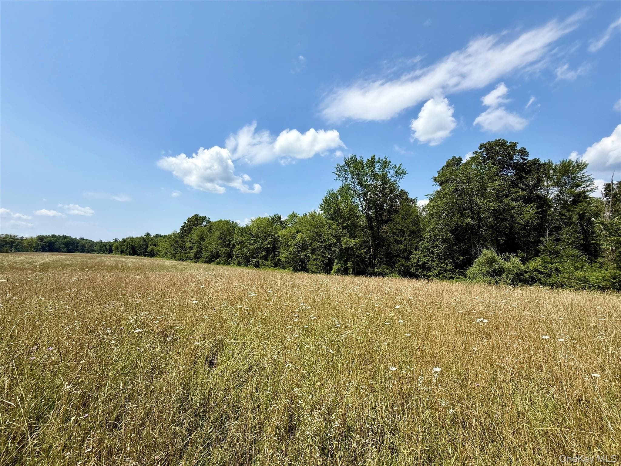 Shawangunk Road thumbnail 4