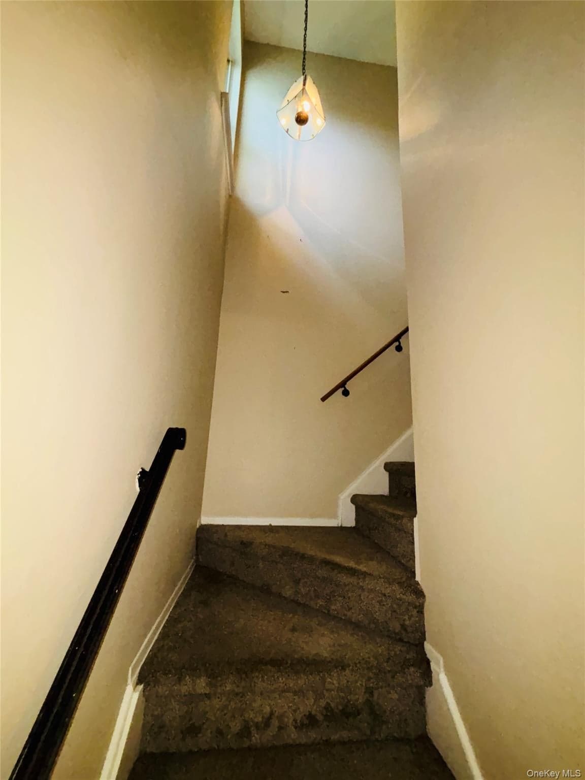 3 Altamont Avenue thumbnail 12
