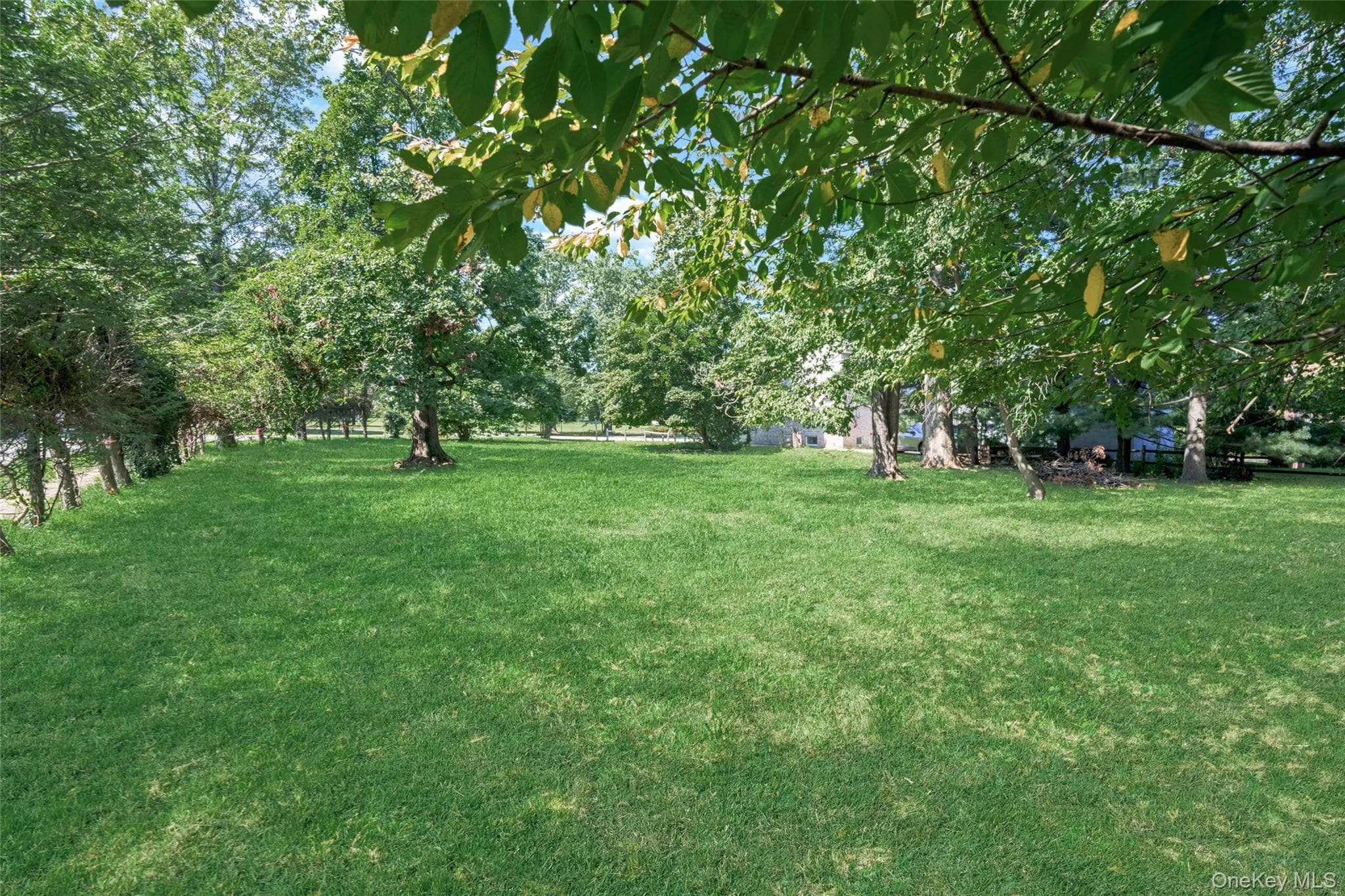 Orchard off Manhattan Manhattan thumbnail 2