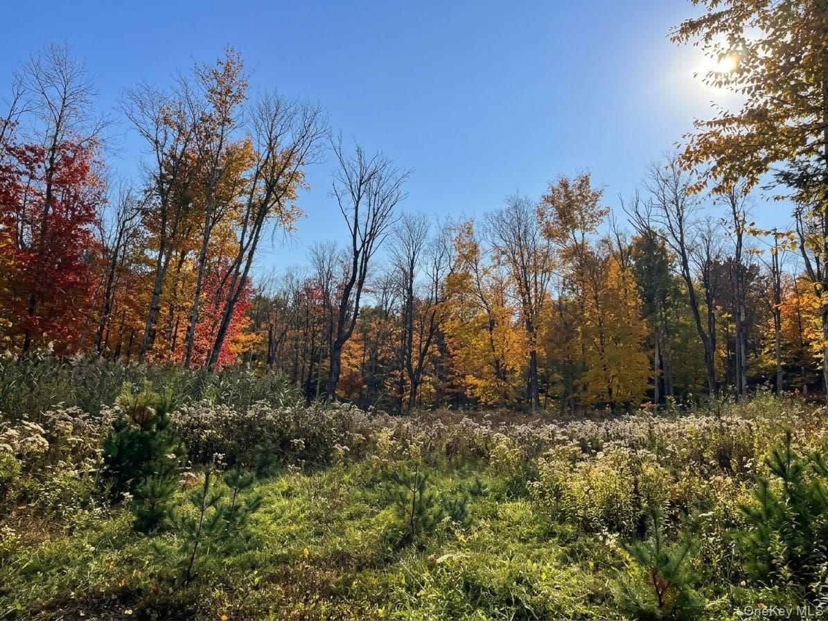 Painter Hill Road, Wurtsboro