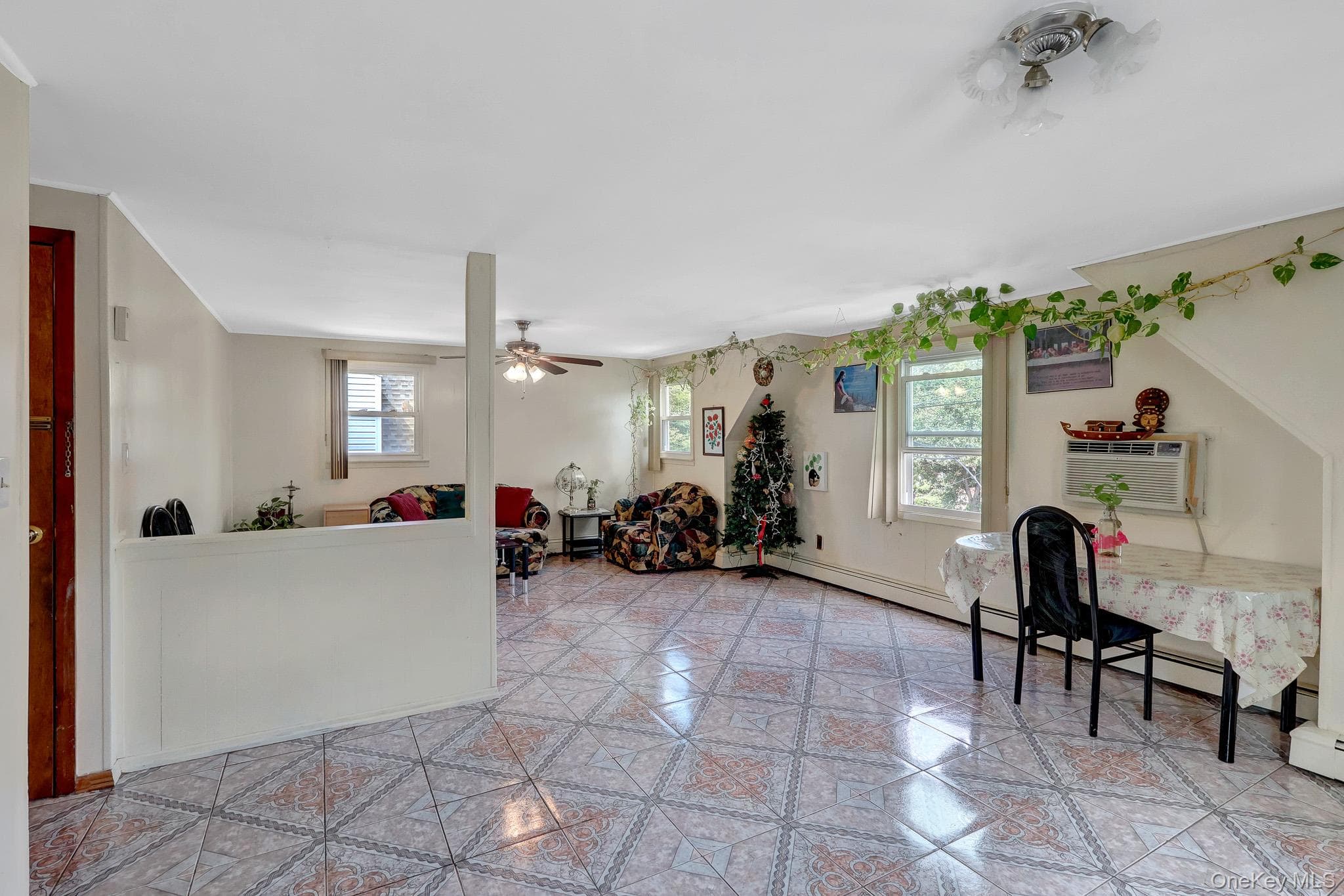 411 New Hyde Park Road thumbnail 29