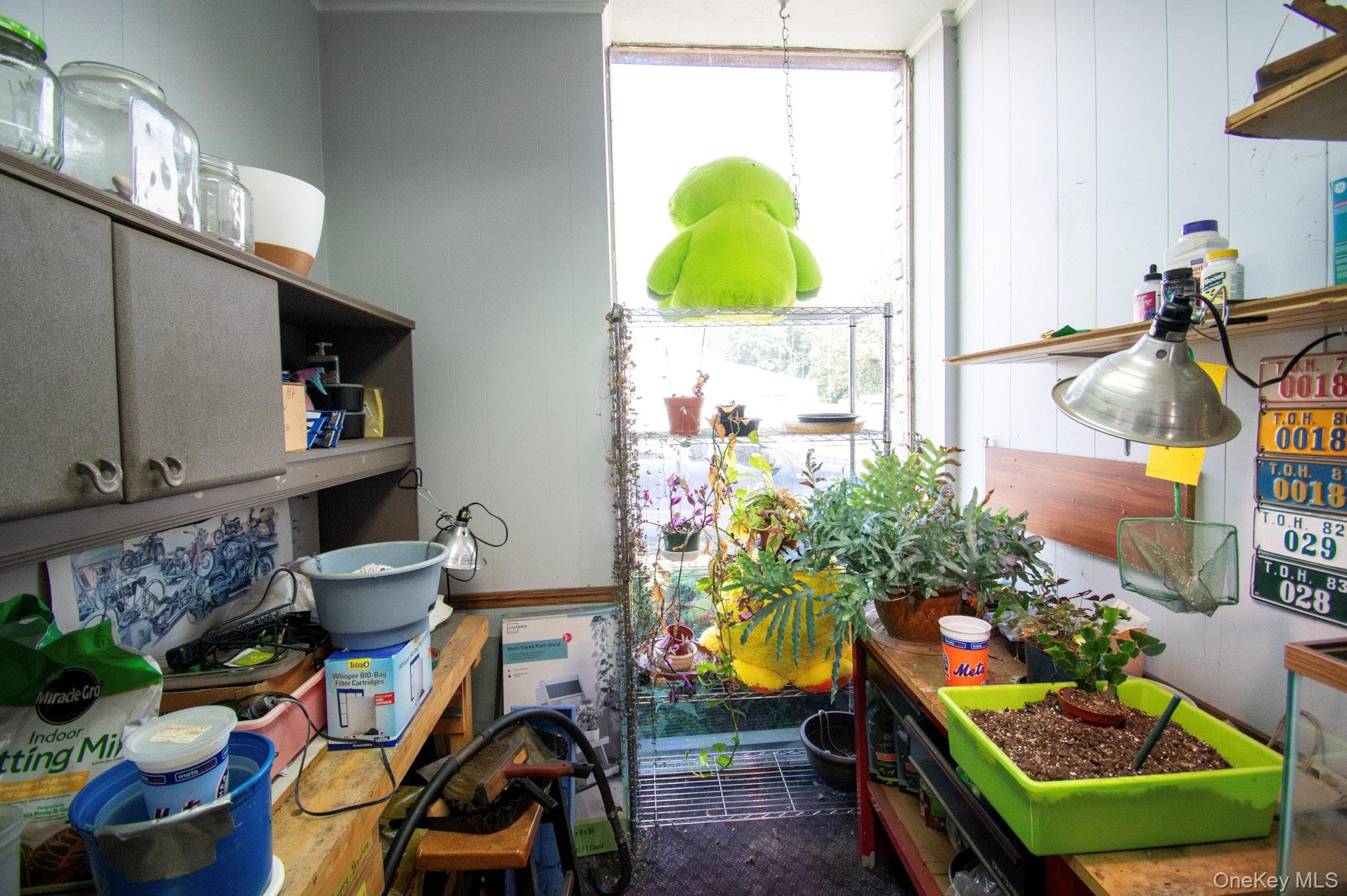 514 Merrick Road thumbnail 9