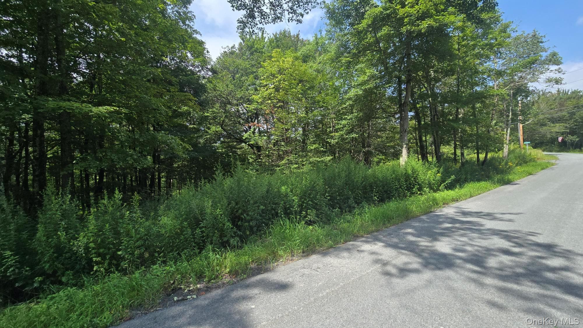 Knickerbocker Road thumbnail 2