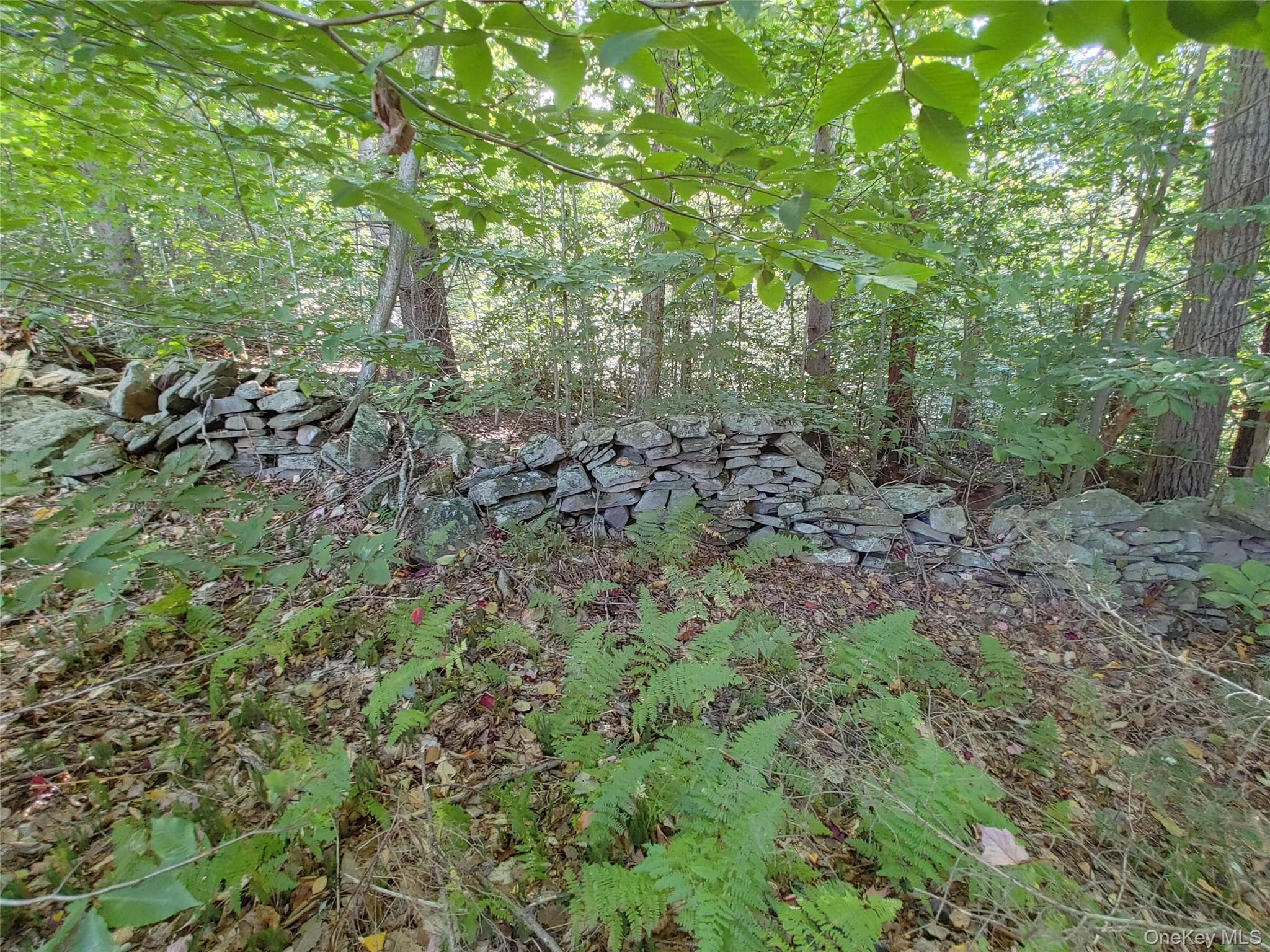 27 Warren Todd Subdivision Drive thumbnail 7