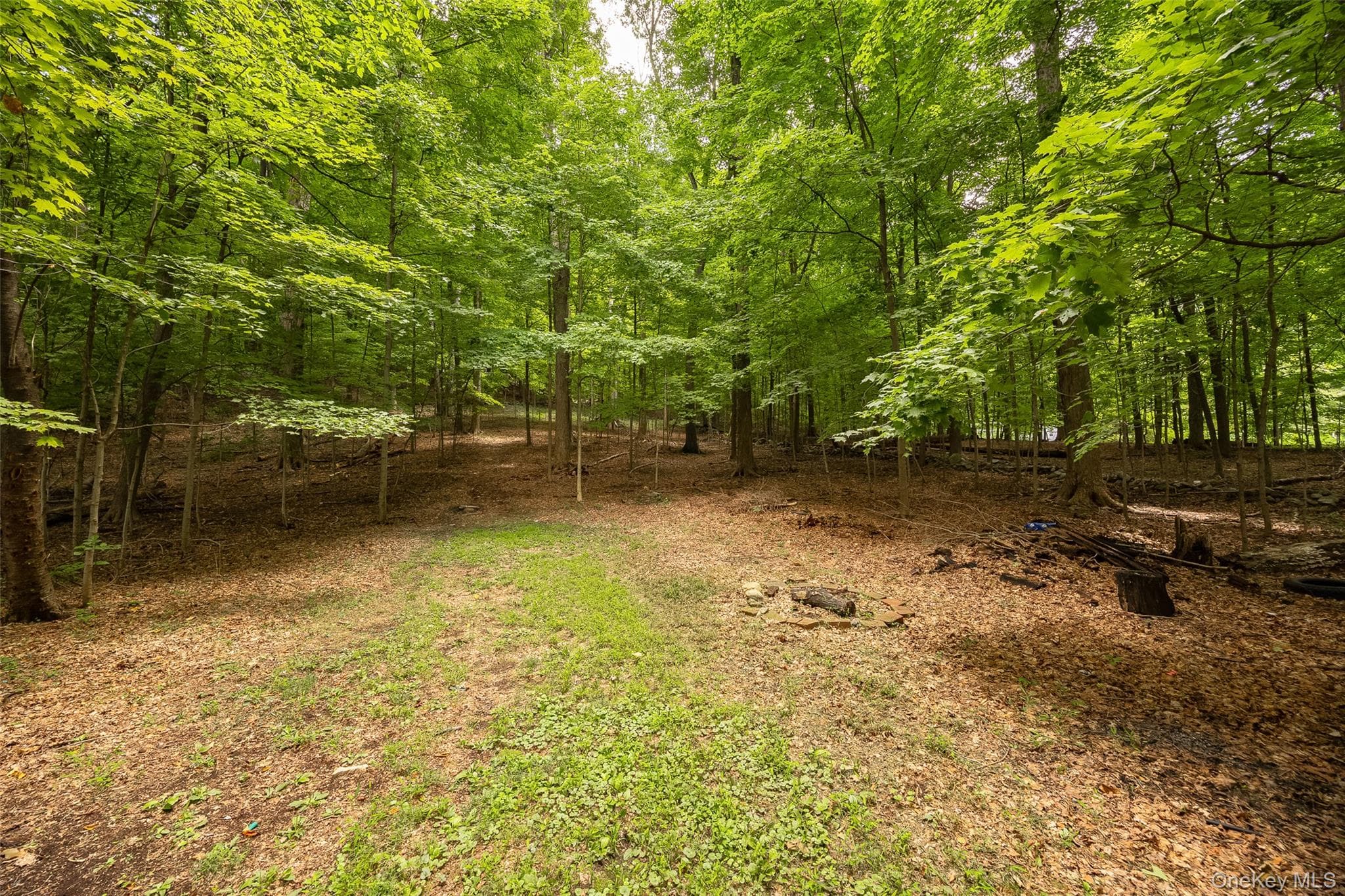 36 Greenwood Drive thumbnail 28