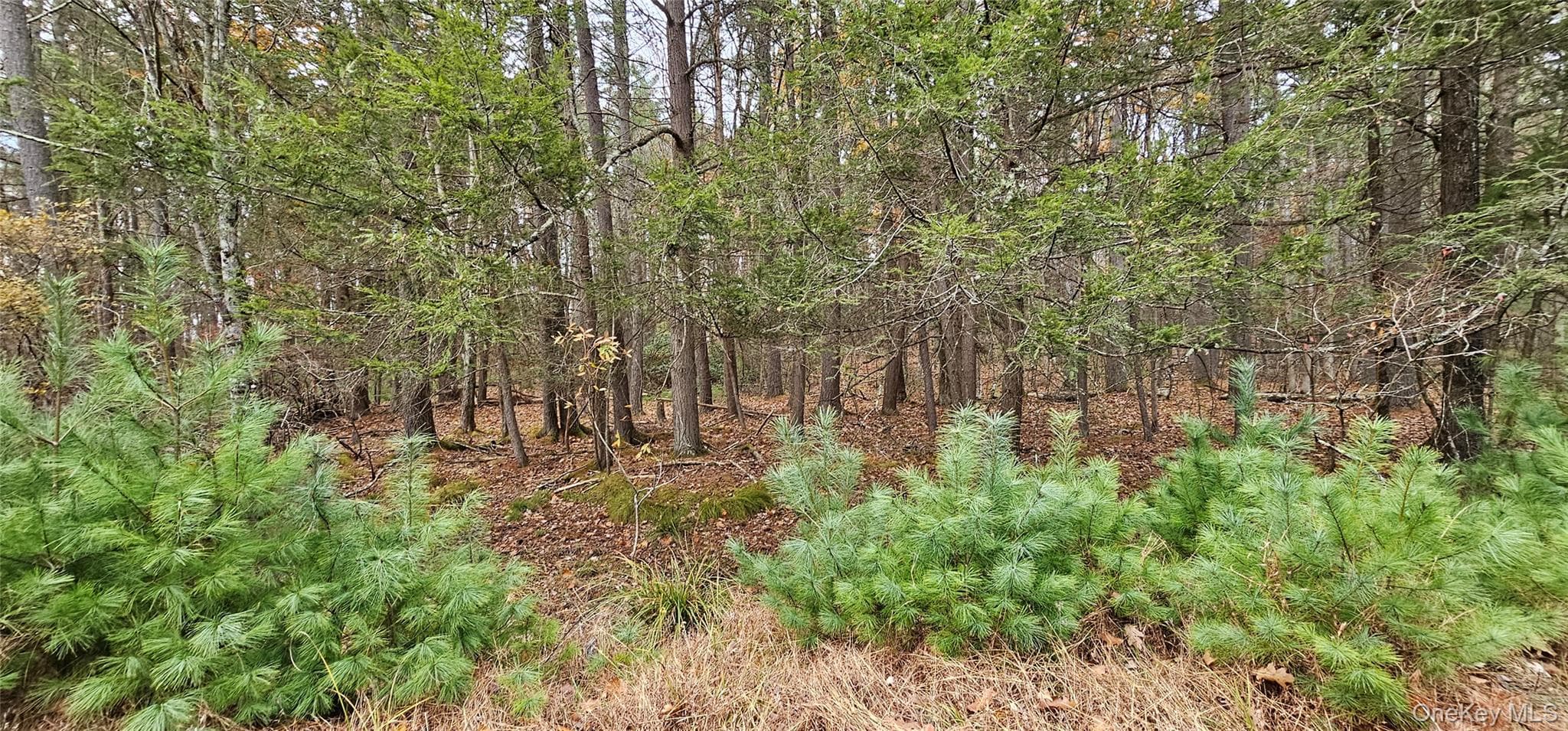 Lot 28 Summit Drive thumbnail 10